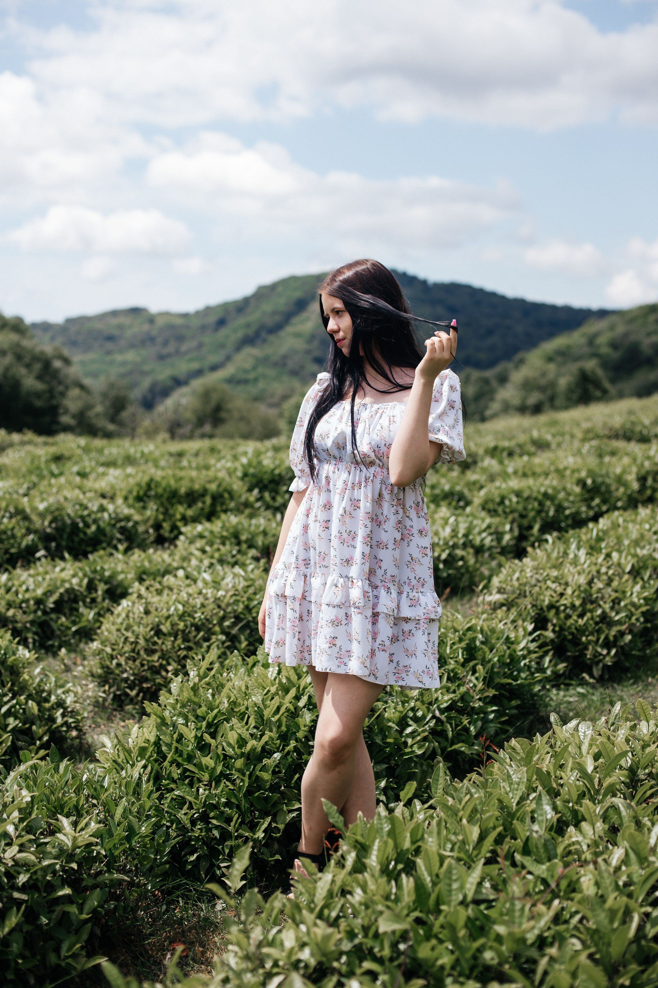Tea plantation. Efimova Model Agency