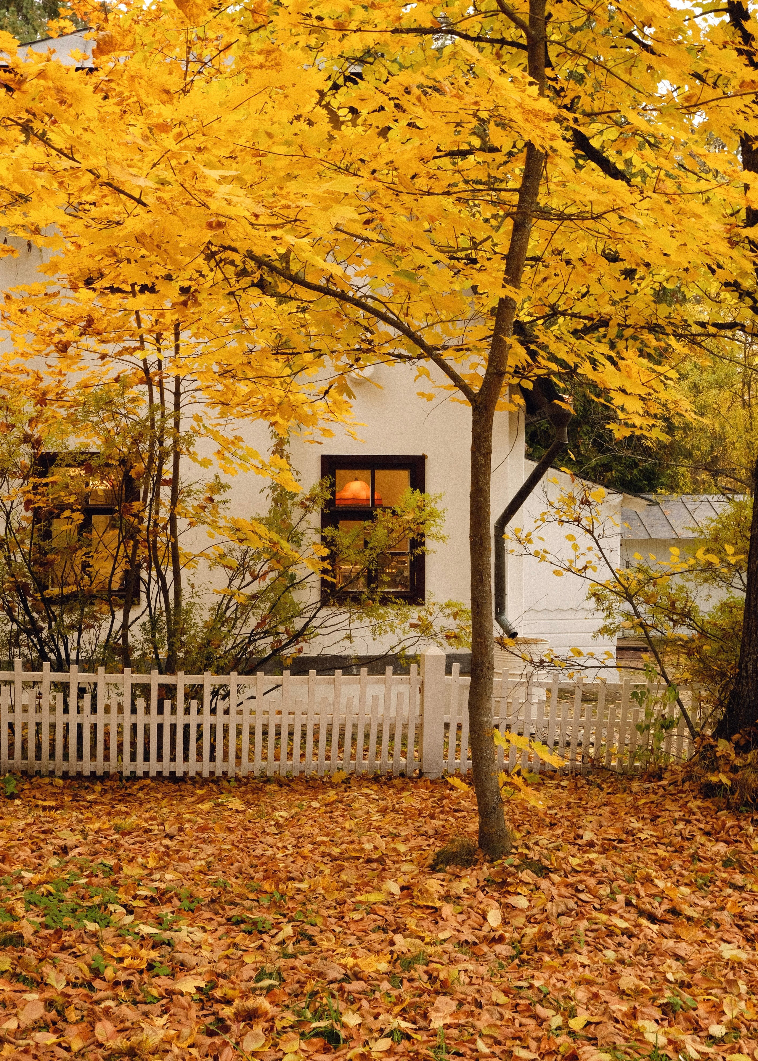 Polenovo Estate. Интерьерный архитектурный фотограф | interior architectural photographer