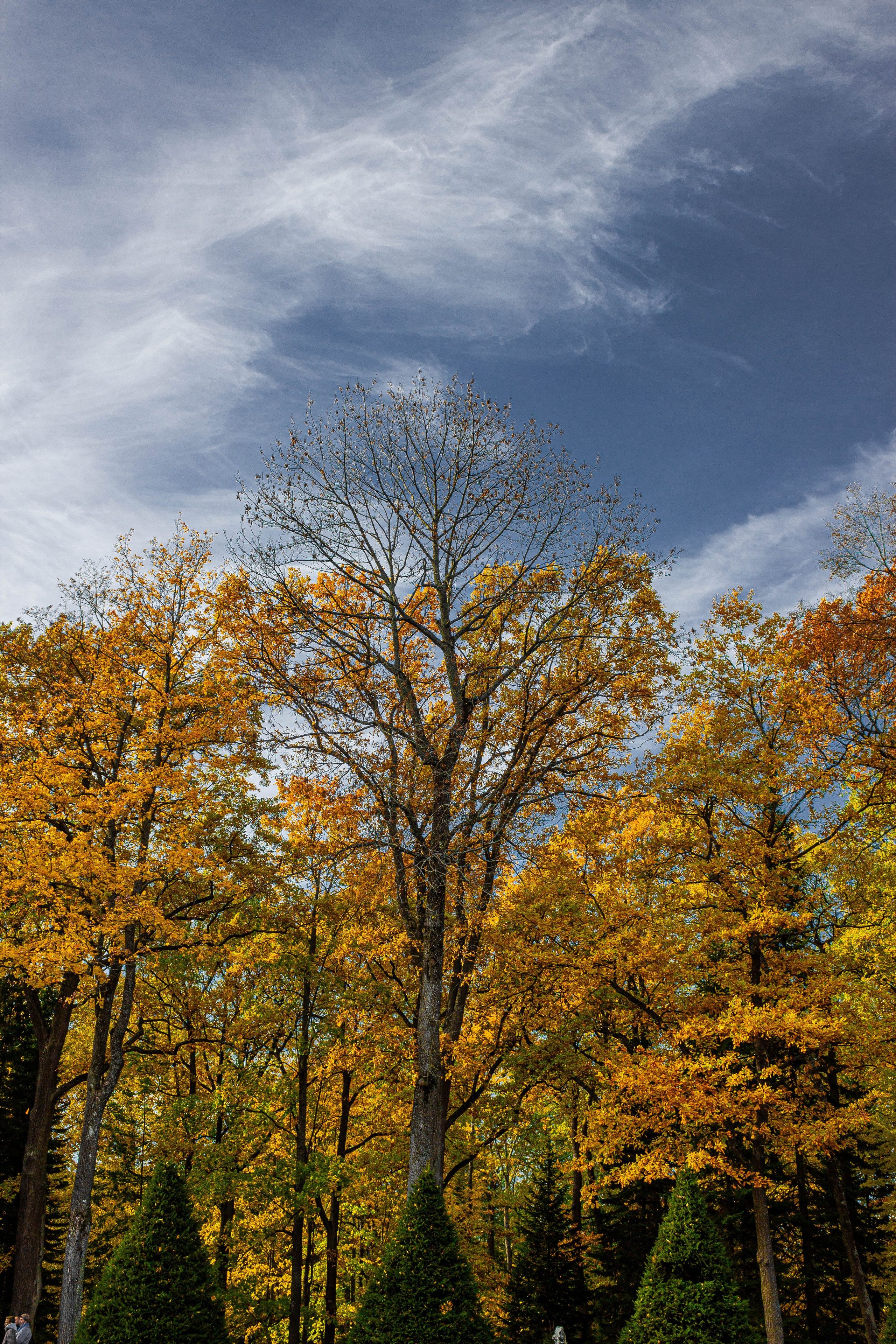 Петергоф. Maks Mironov