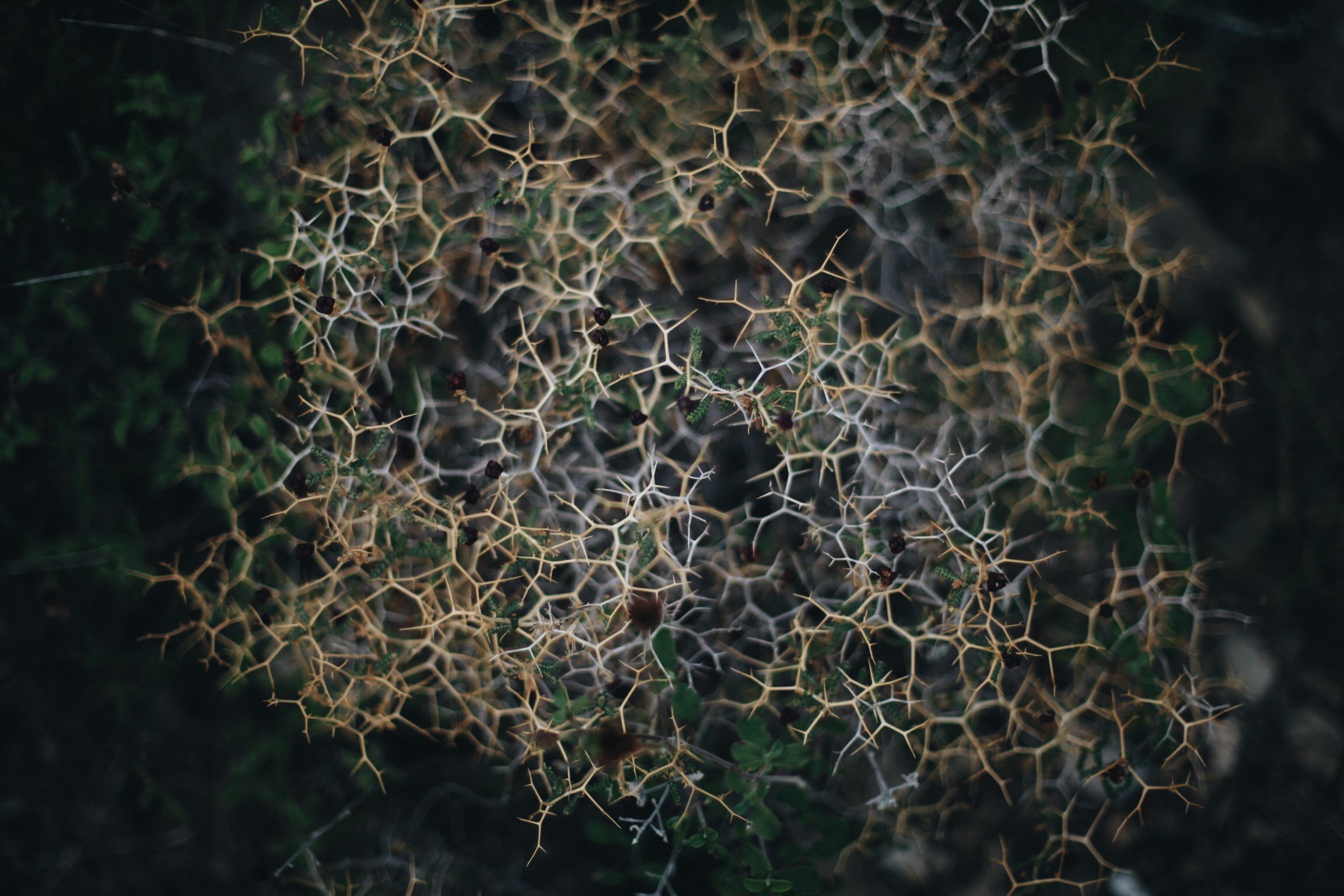 Волна. Ксения Плотникова