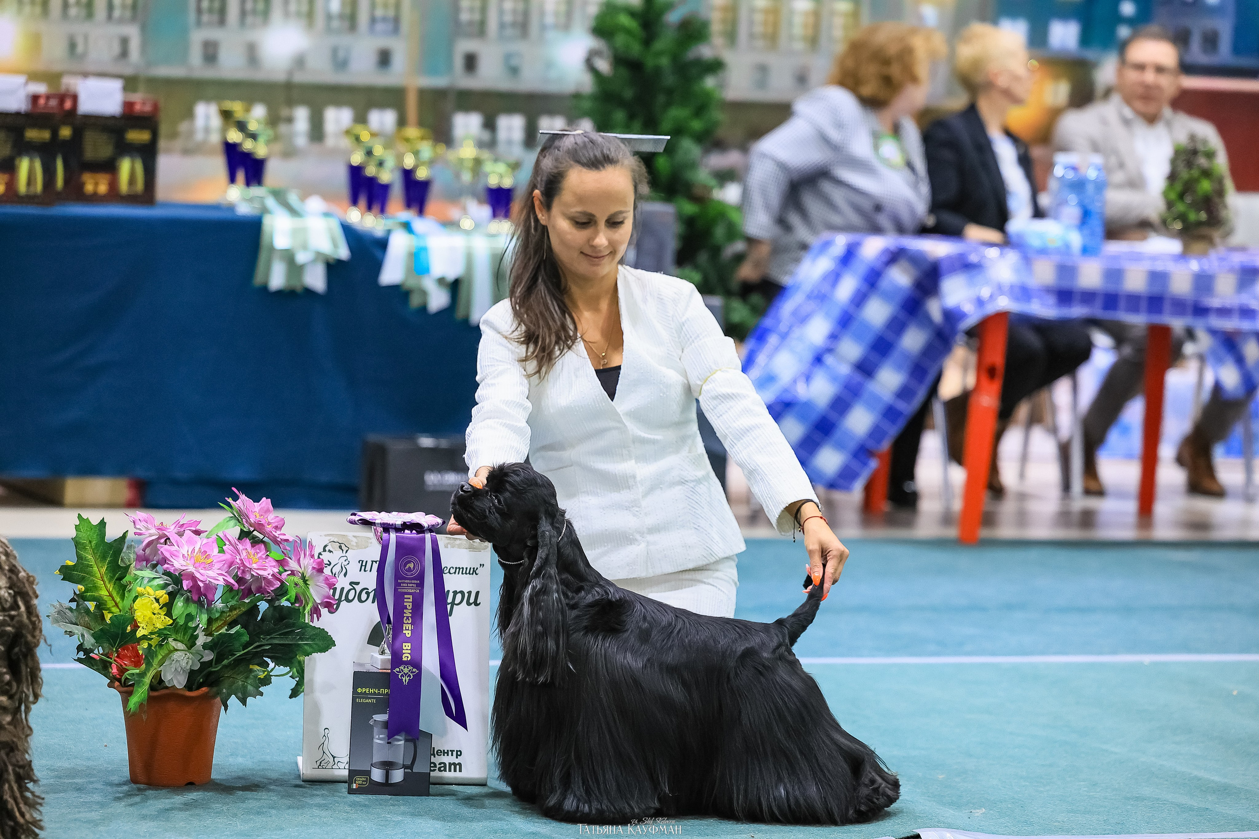 6-7.12.25 — 1-4 Национальные выставки собак в Новосибирске (2х рейтинговые). Фотограф Анималист из Новосибирска Татьяна Кауфман