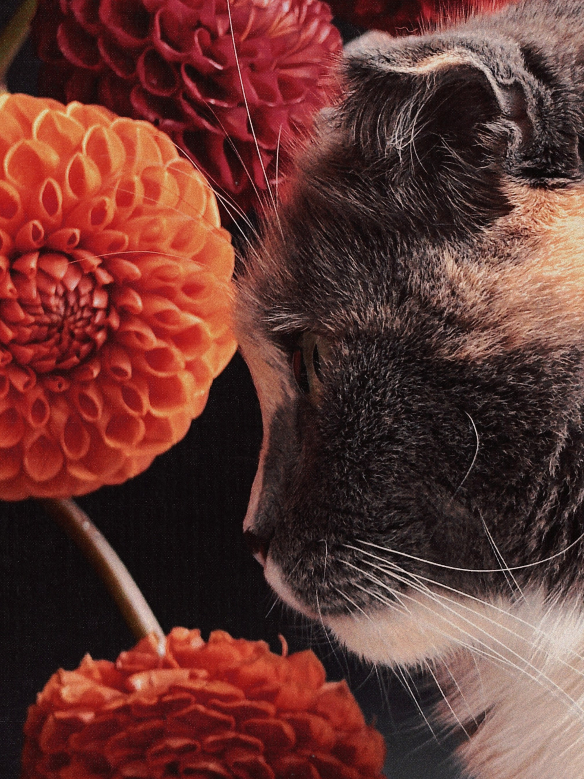 Предметная съёмка. Чувственный мобильный фотограф в Казани и Сочи Дьяченко Дарья