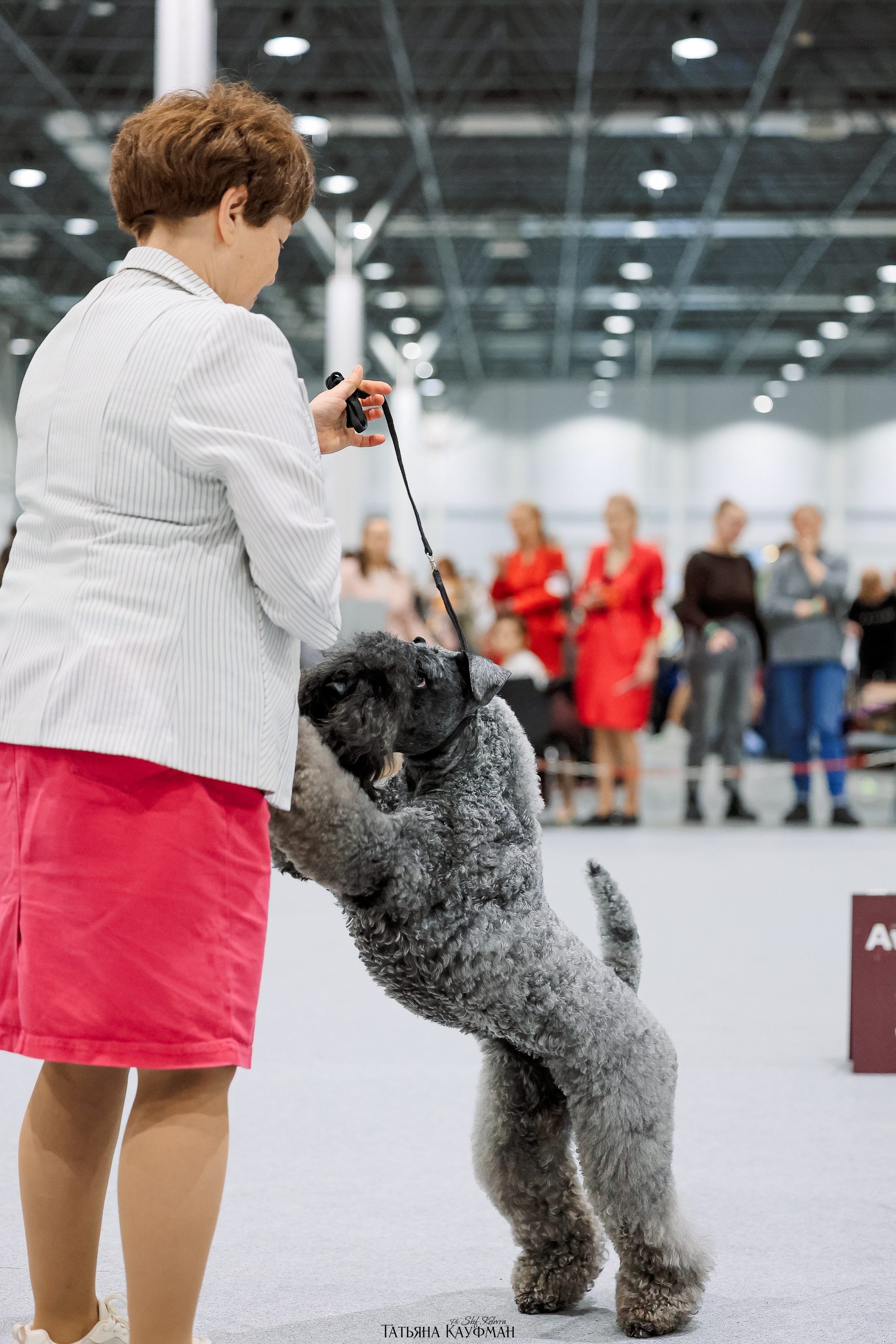 28-29.03.2026 Рейтинговая выставка в Новосибирске. Фотограф Анималист из Новосибирска Татьяна Кауфман