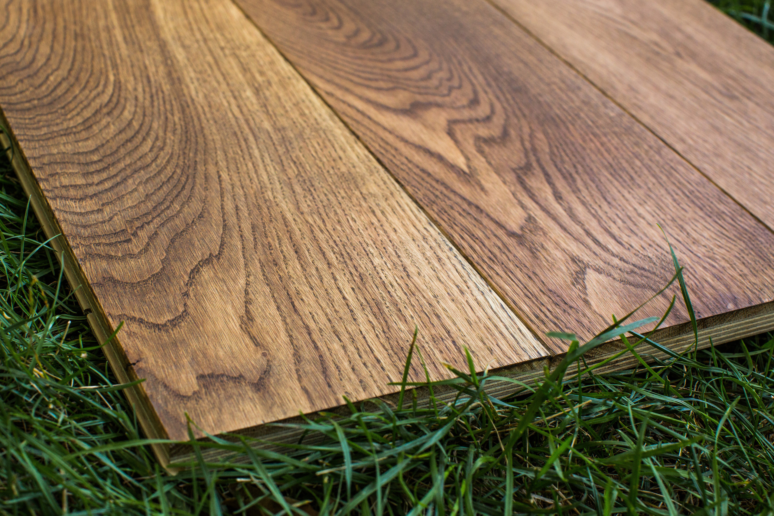 Ламинат. Photographer and videographer for wedding in Italy: Rome, Milan, Venic