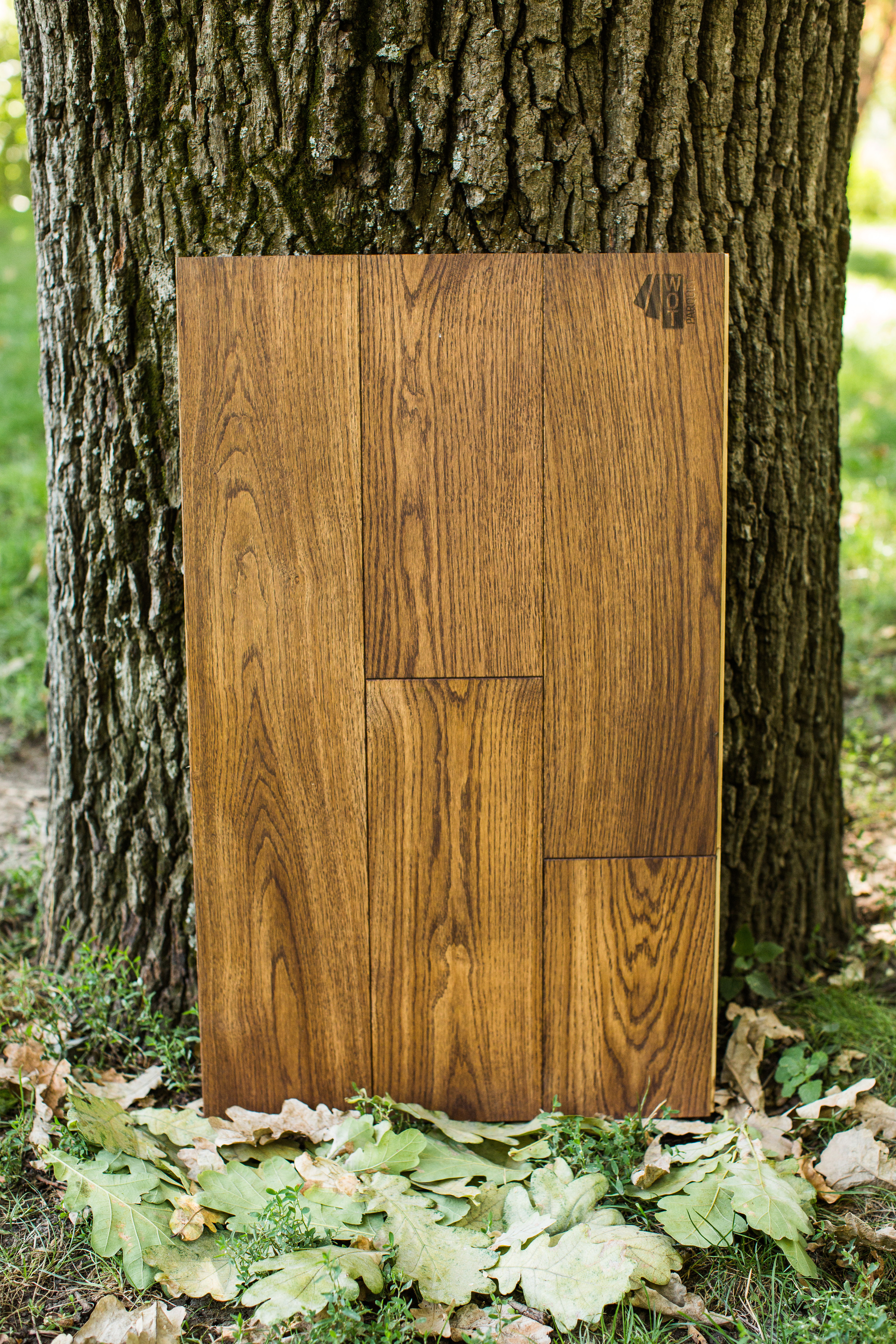 Ламинат. Photographer and videographer for wedding in Italy: Rome, Milan, Venic