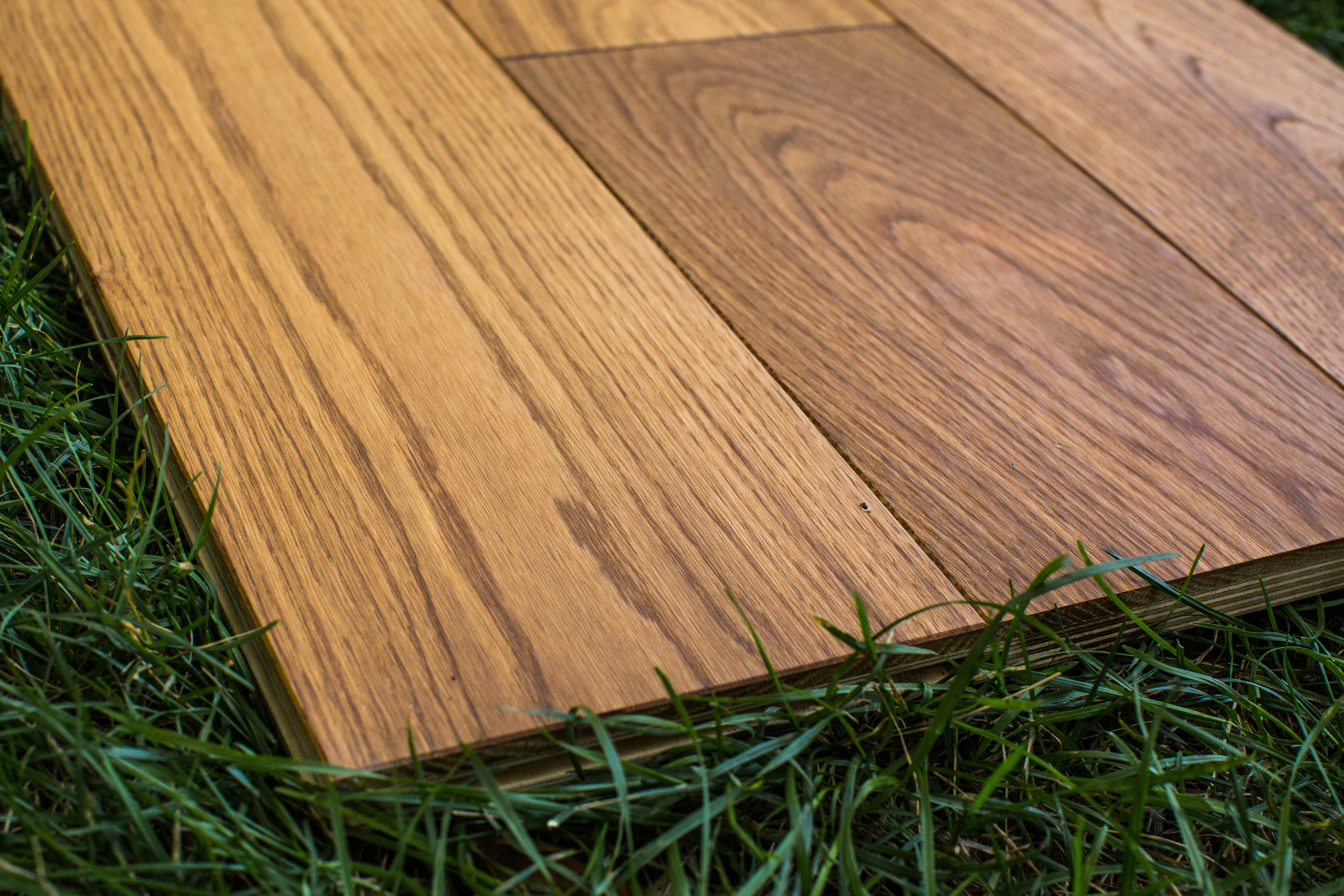 Ламинат. Photographer and videographer for wedding in Italy: Rome, Milan, Venic