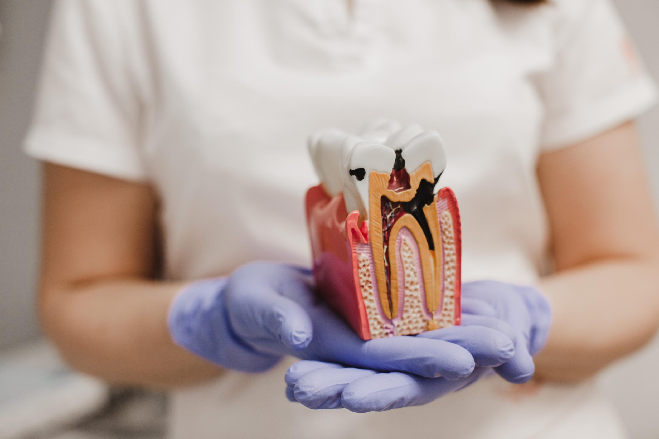 CITY SMILE. Photographer and videographer for wedding in Italy: Rome, Milan, Venic