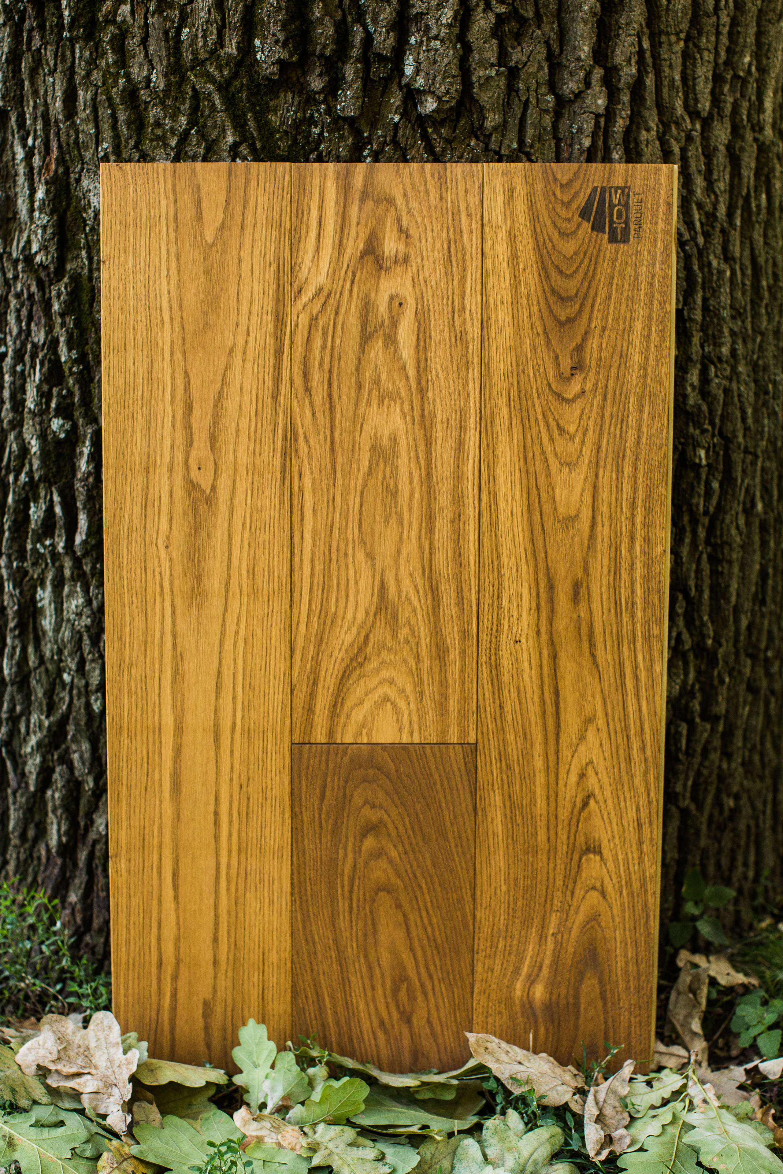 Ламинат. Photographer and videographer for wedding in Italy: Rome, Milan, Venic