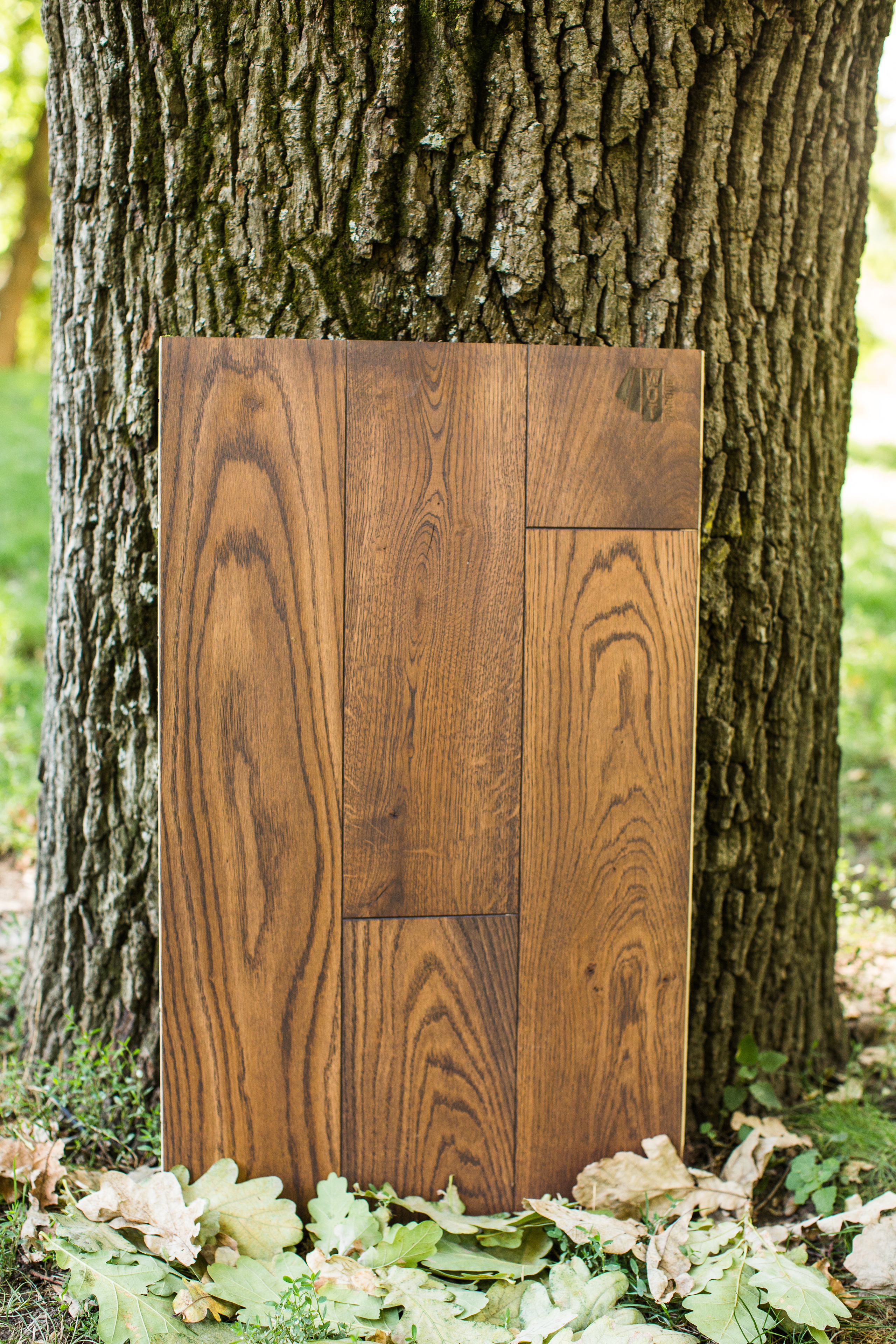 Ламинат. Photographer and videographer for wedding in Italy: Rome, Milan, Venic