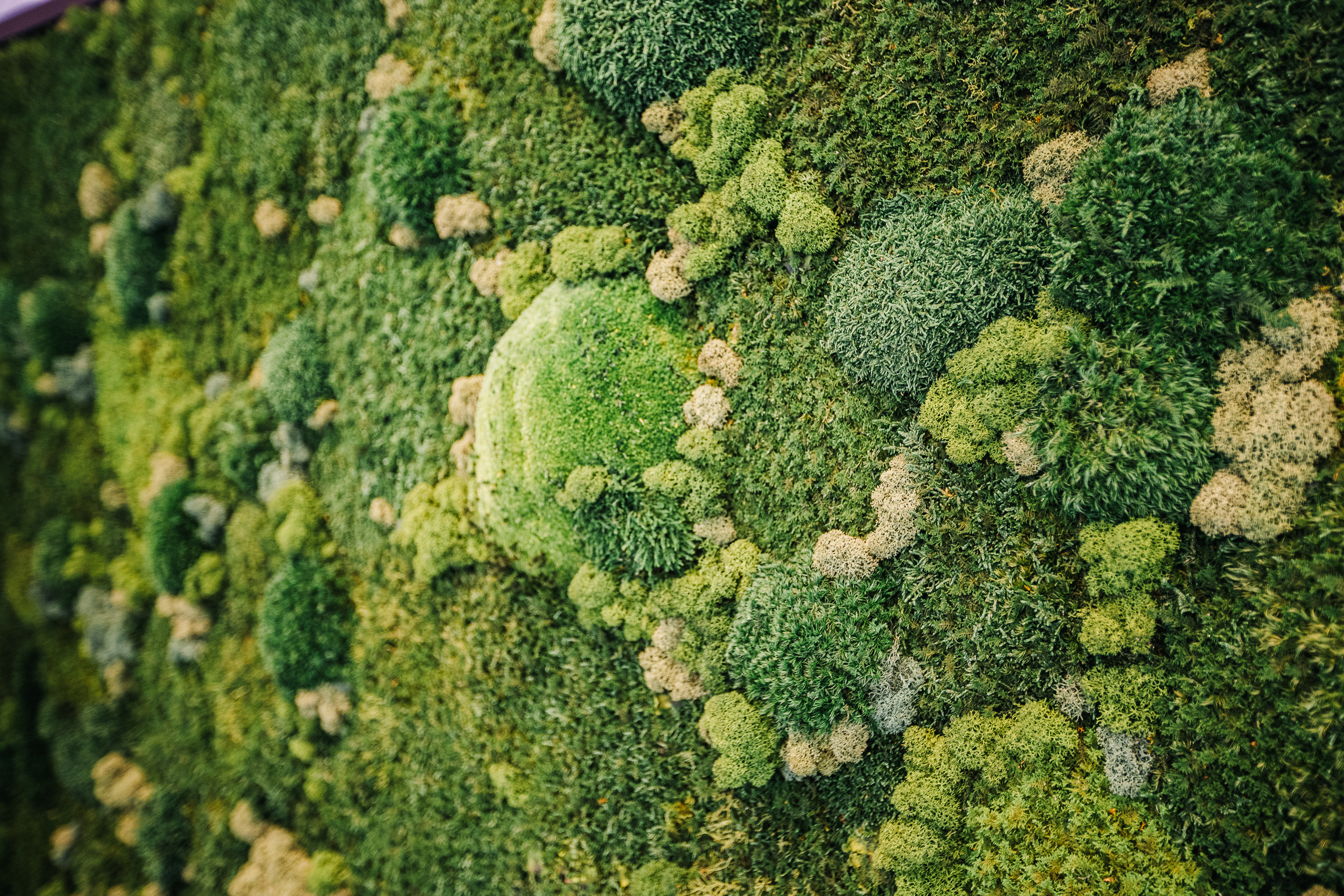 Фитнес клуб Xforce. Photographer and videographer for wedding in Italy: Rome, Milan, Venic