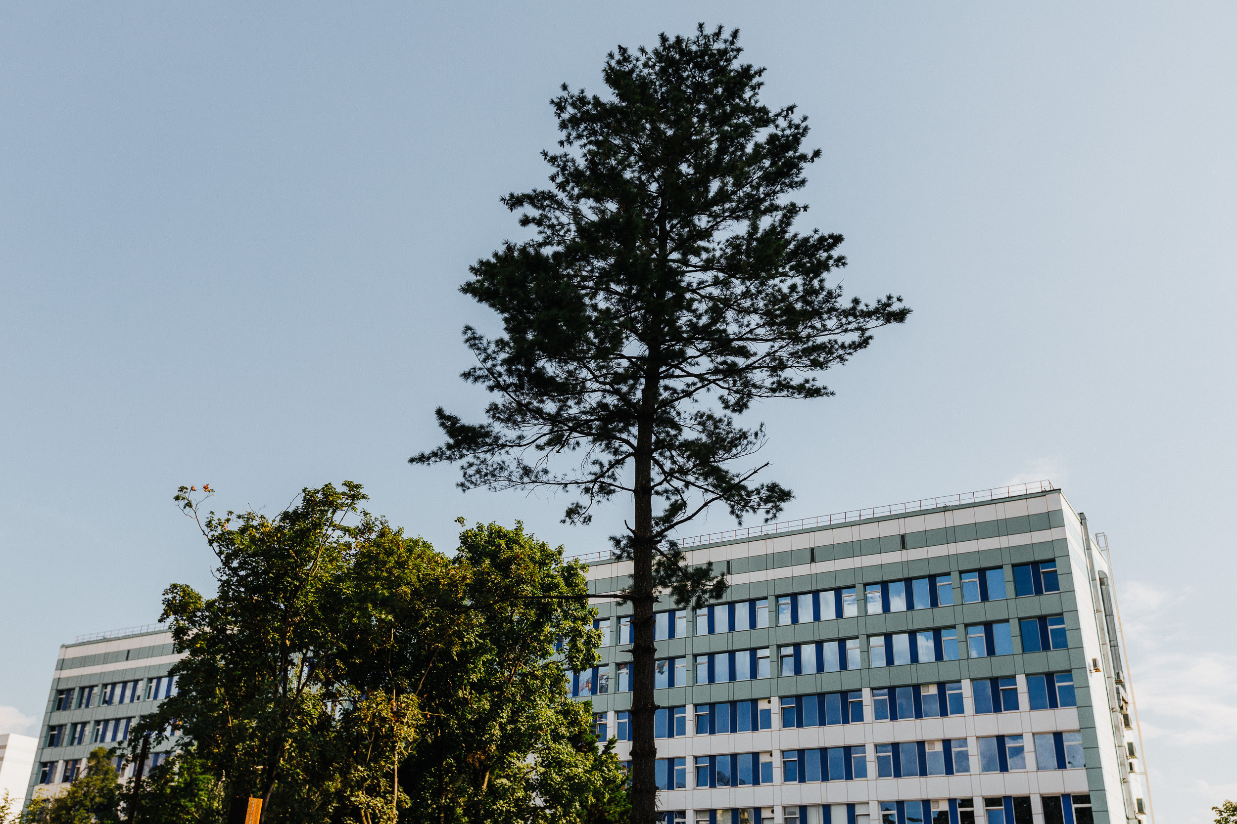 Гостевой дом Герань. Photographer and videographer for wedding in Italy: Rome, Milan, Venic