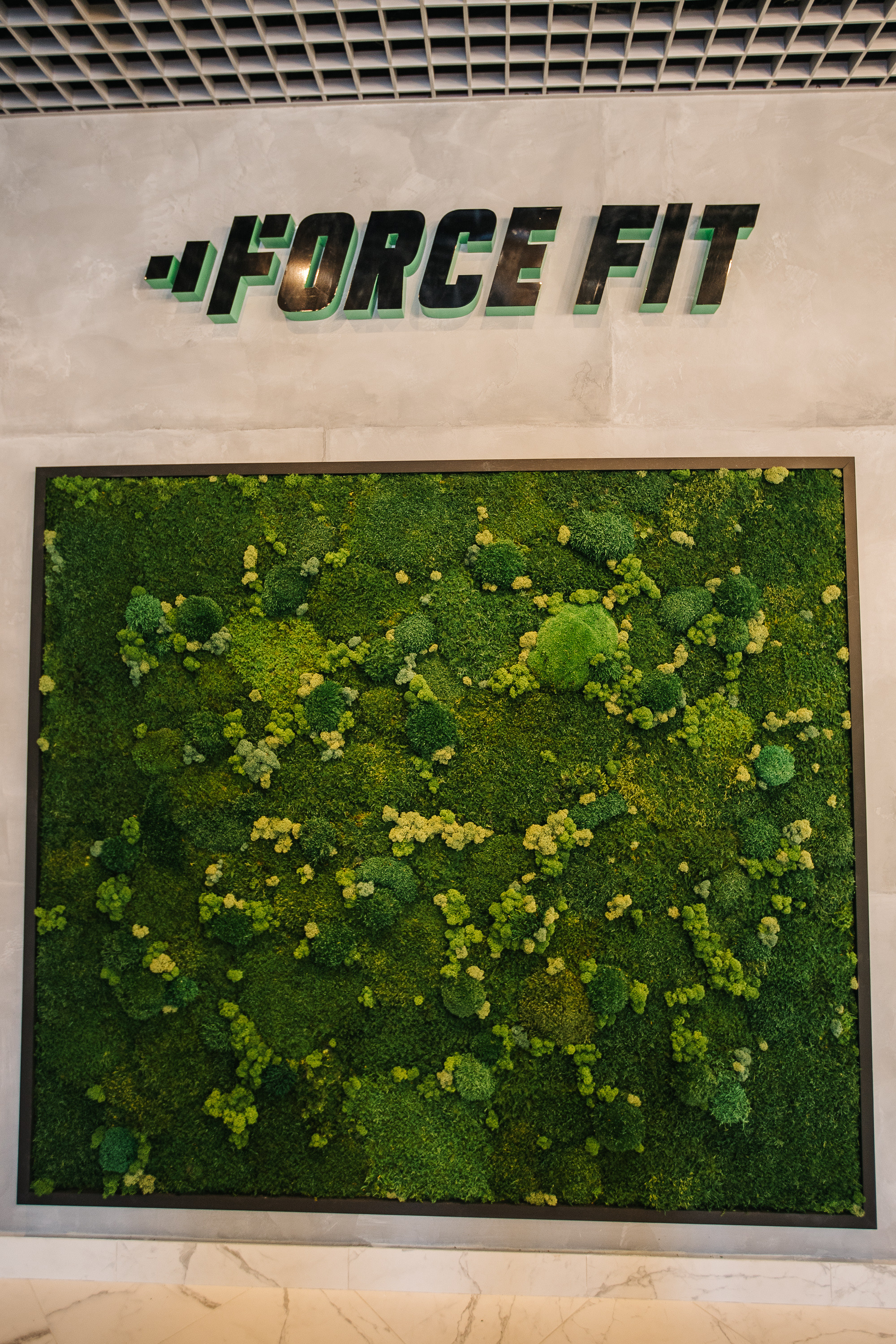 Фитнес клуб Xforce. Photographer and videographer for wedding in Italy: Rome, Milan, Venic