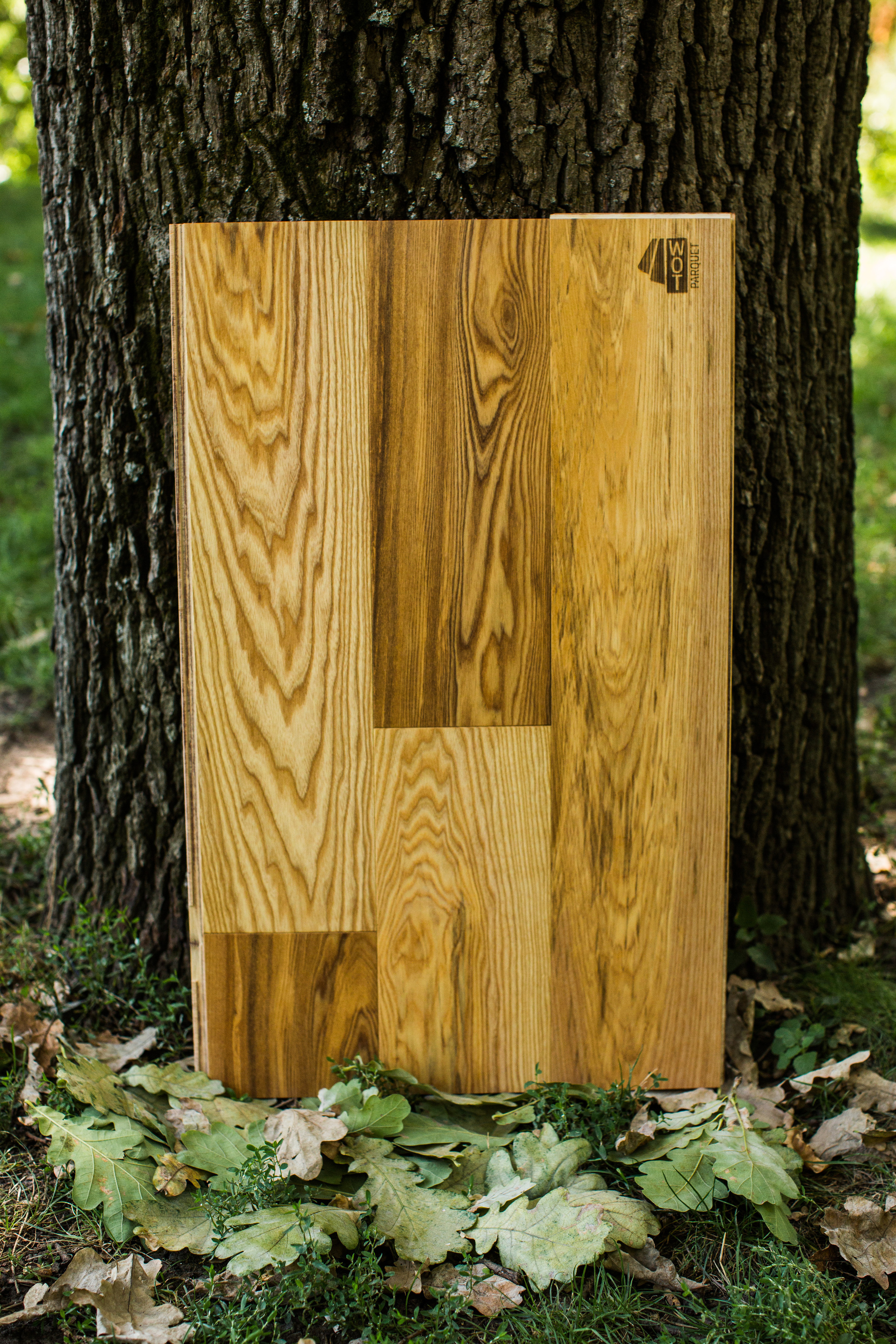 Ламинат. Photographer and videographer for wedding in Italy: Rome, Milan, Venic