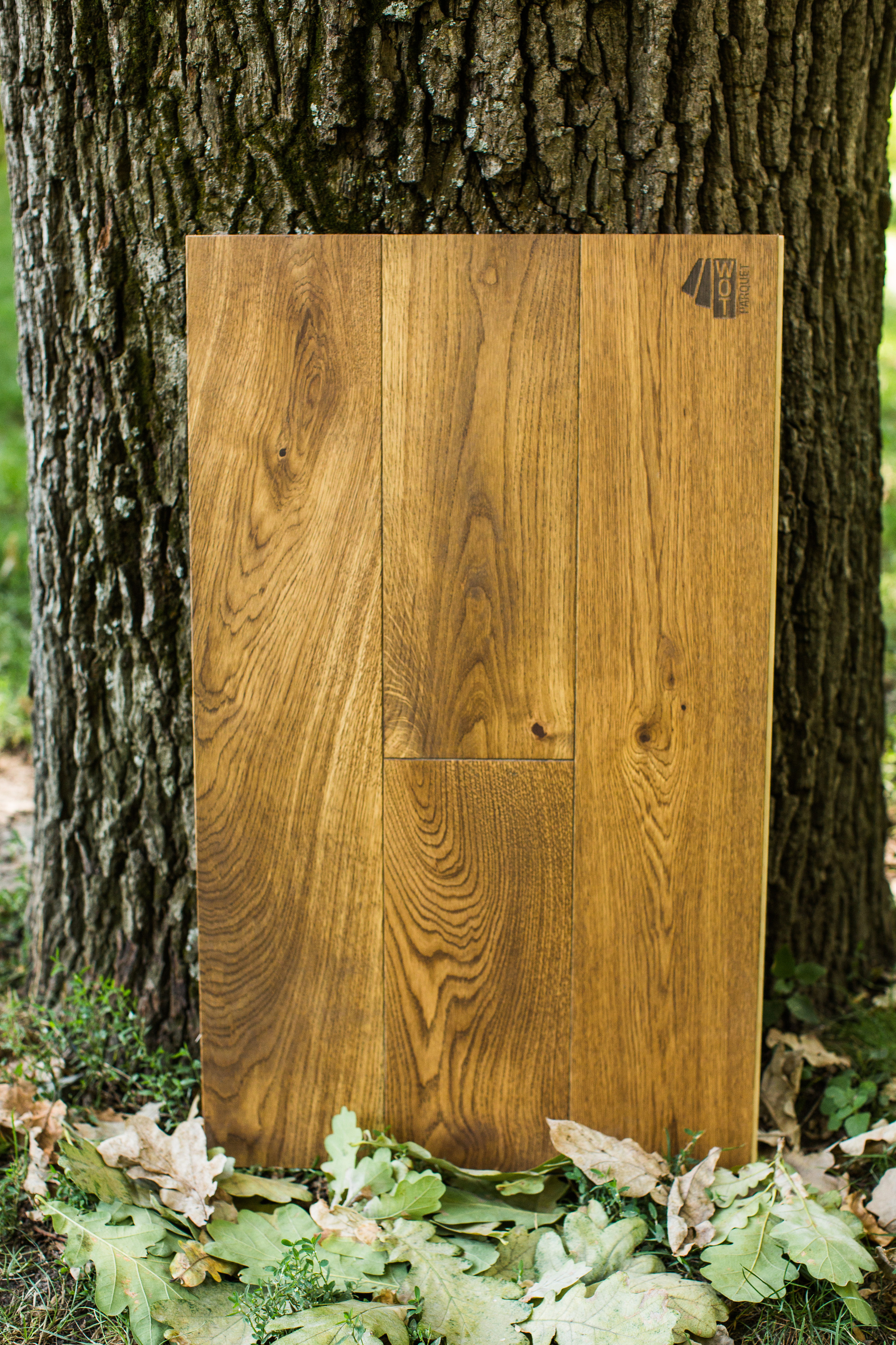 Ламинат. Photographer and videographer for wedding in Italy: Rome, Milan, Venic