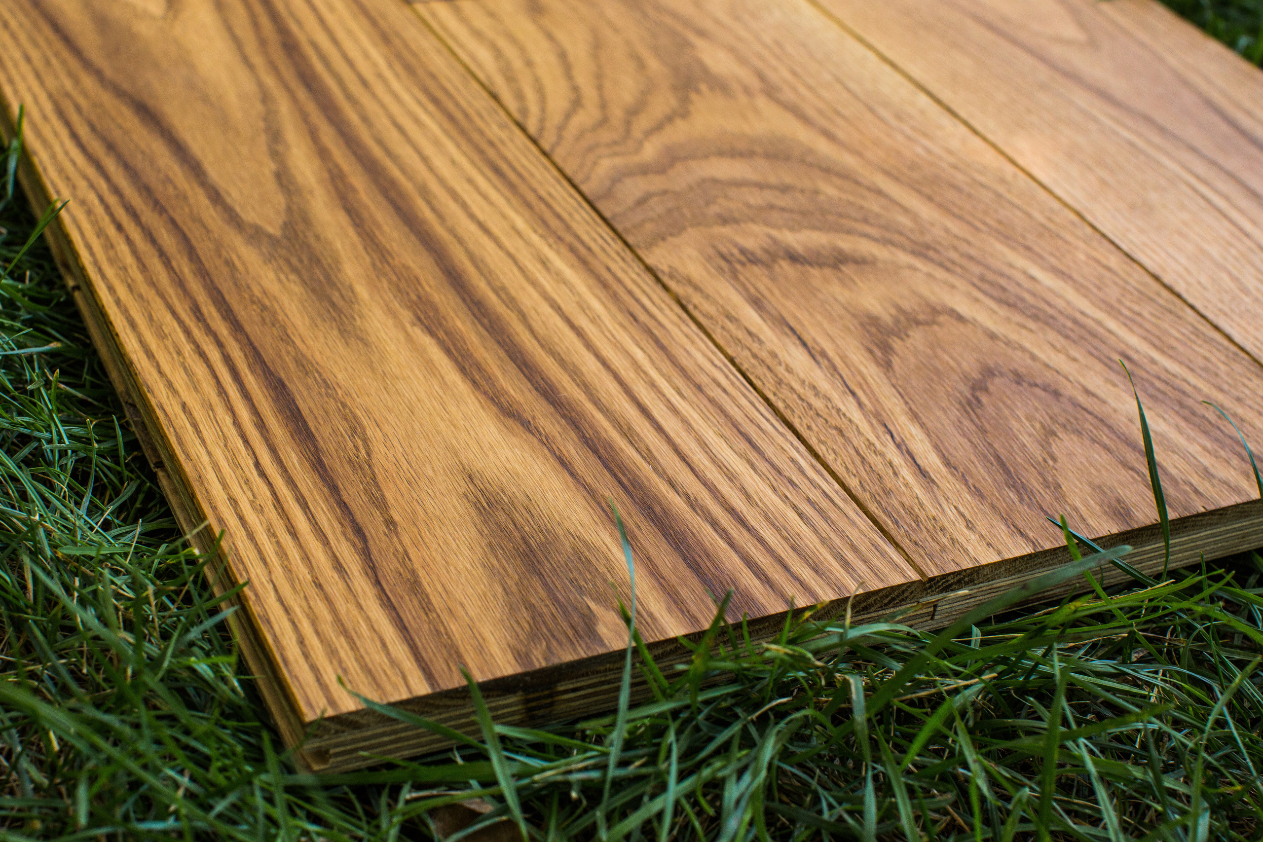 Ламинат. Photographer and videographer for wedding in Italy: Rome, Milan, Venic