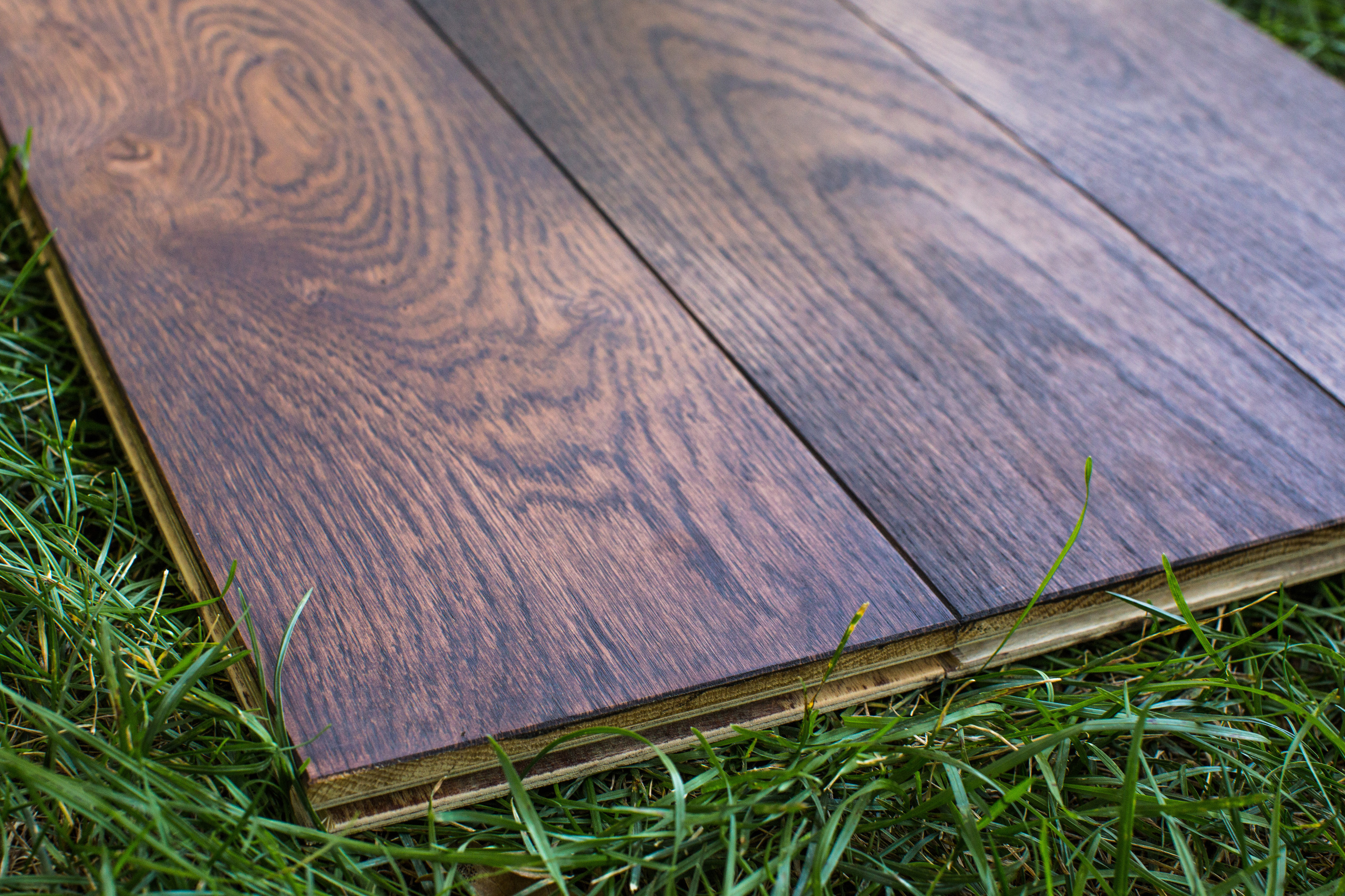 Ламинат. Photographer and videographer for wedding in Italy: Rome, Milan, Venic