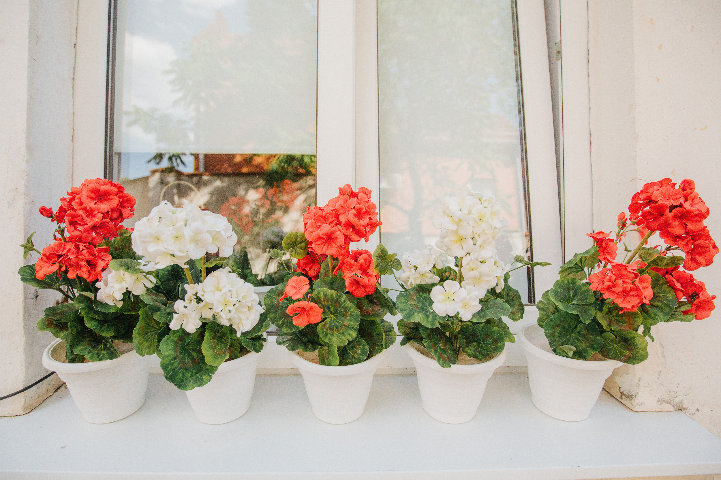 Гостевой дом Герань. Photographer and videographer for wedding in Italy: Rome, Milan, Venic