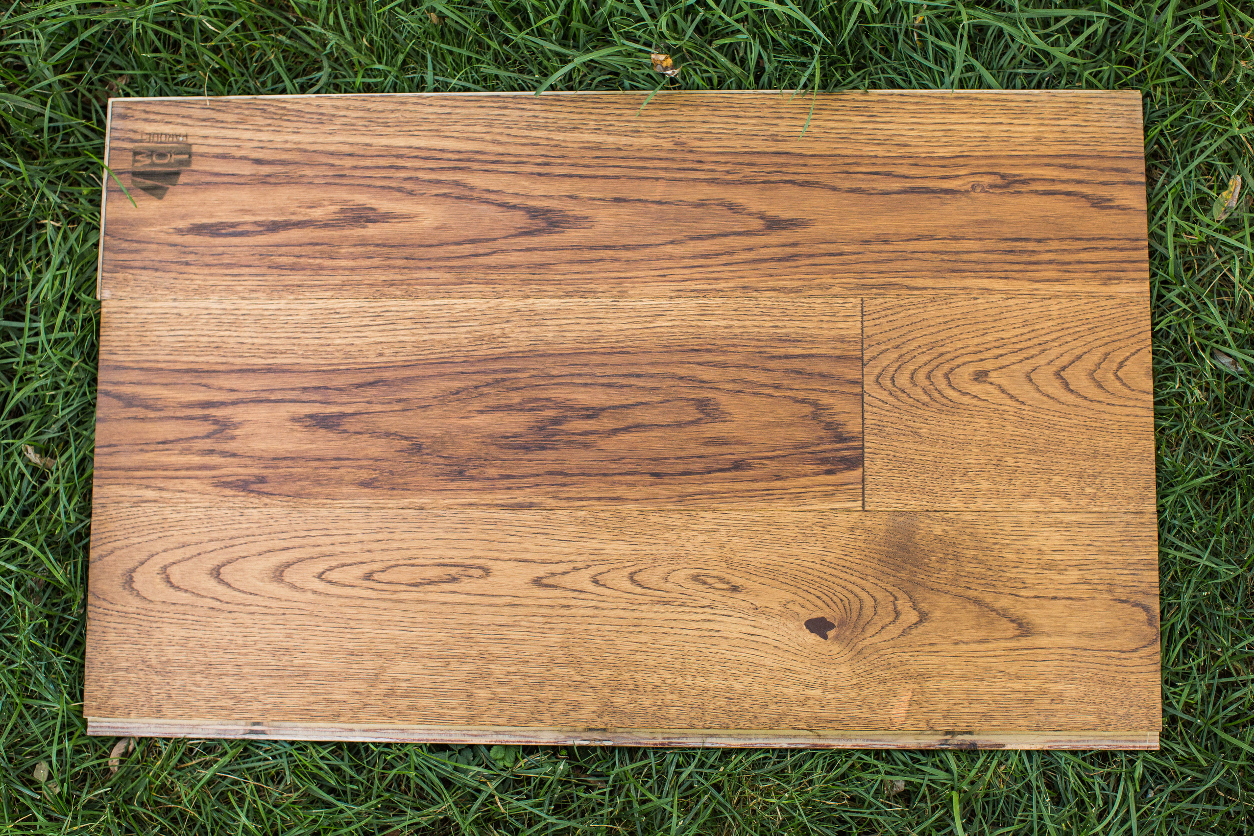 Ламинат. Photographer and videographer for wedding in Italy: Rome, Milan, Venic