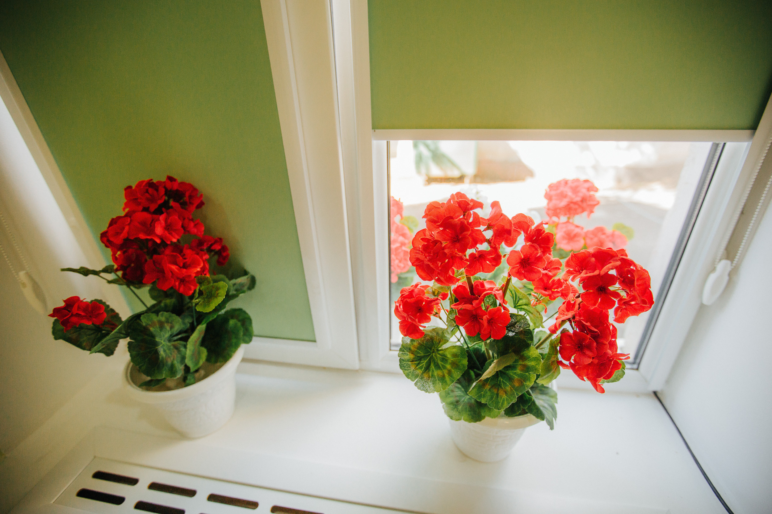 Гостевой дом Герань. Photographer and videographer for wedding in Italy: Rome, Milan, Venic