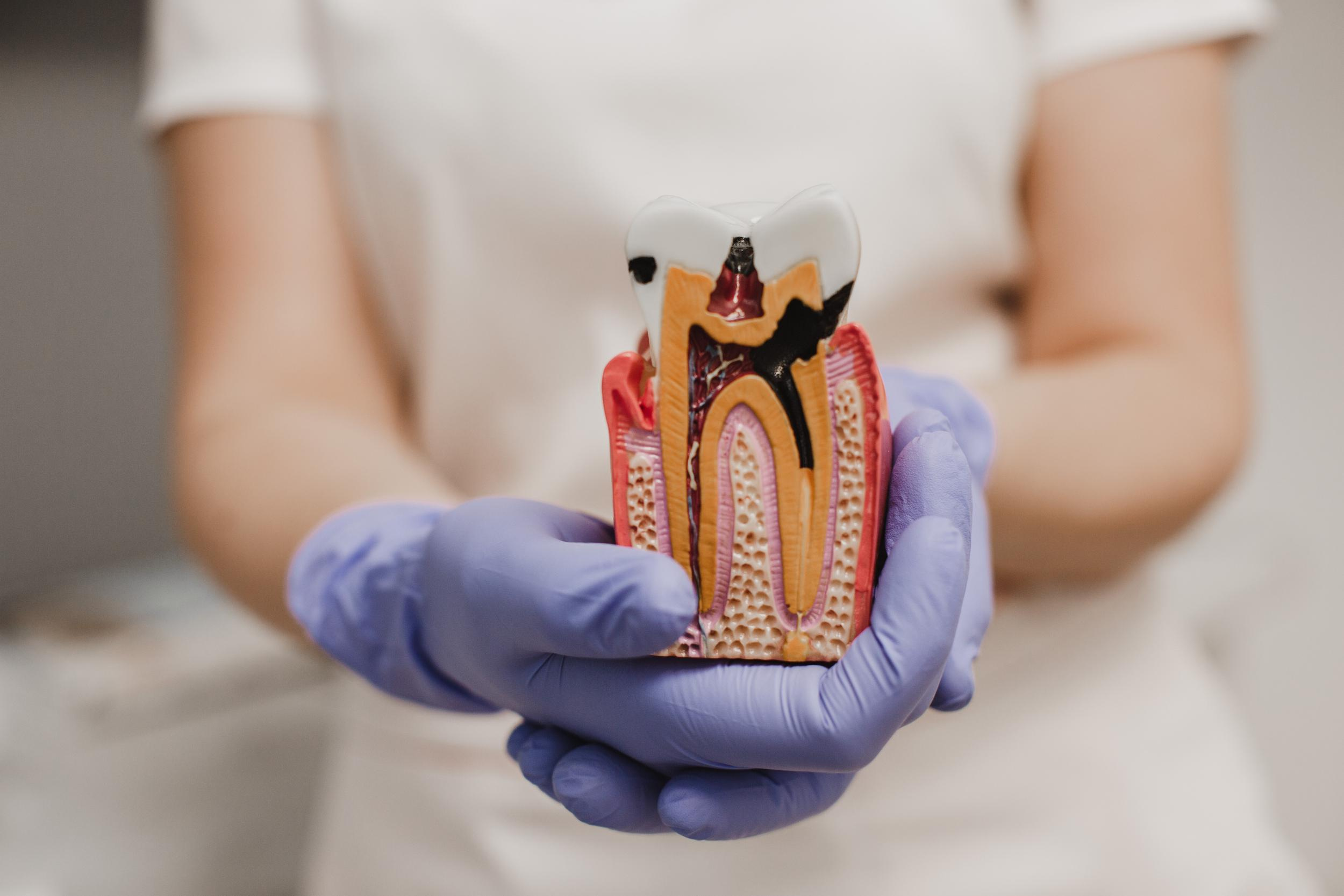 CITY SMILE. Photographer and videographer for wedding in Italy: Rome, Milan, Venic