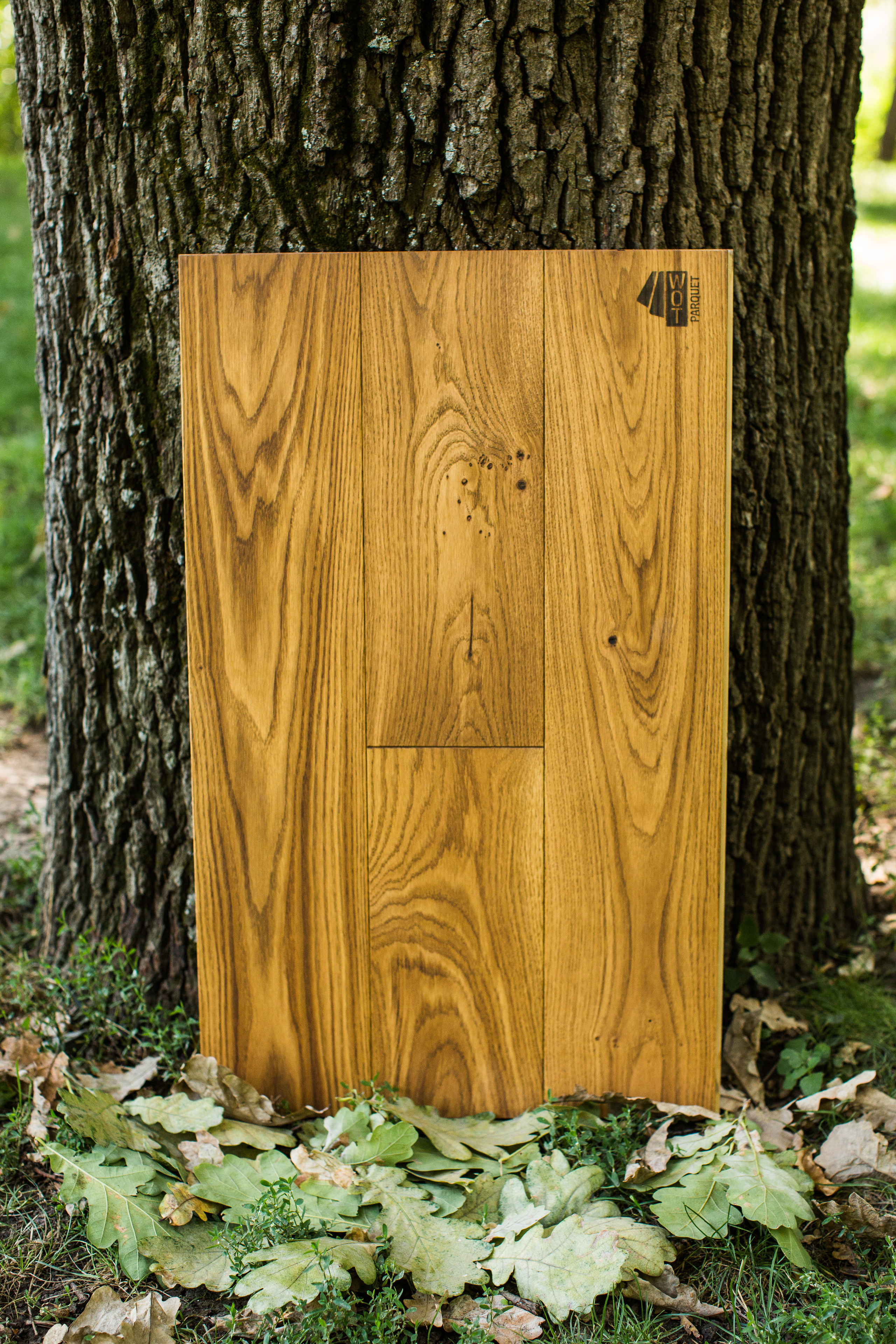 Ламинат. Photographer and videographer for wedding in Italy: Rome, Milan, Venic