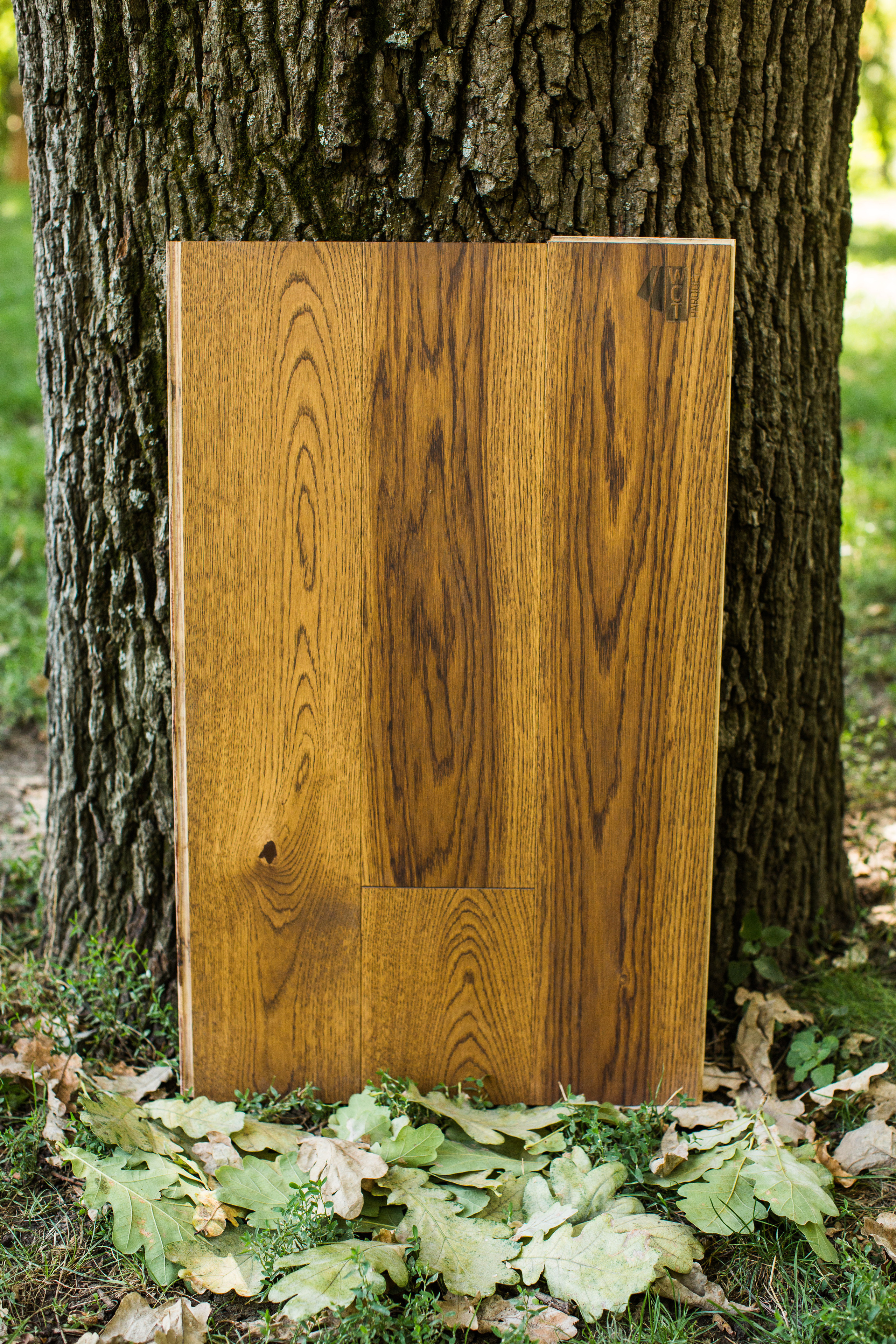 Ламинат. Photographer and videographer for wedding in Italy: Rome, Milan, Venic