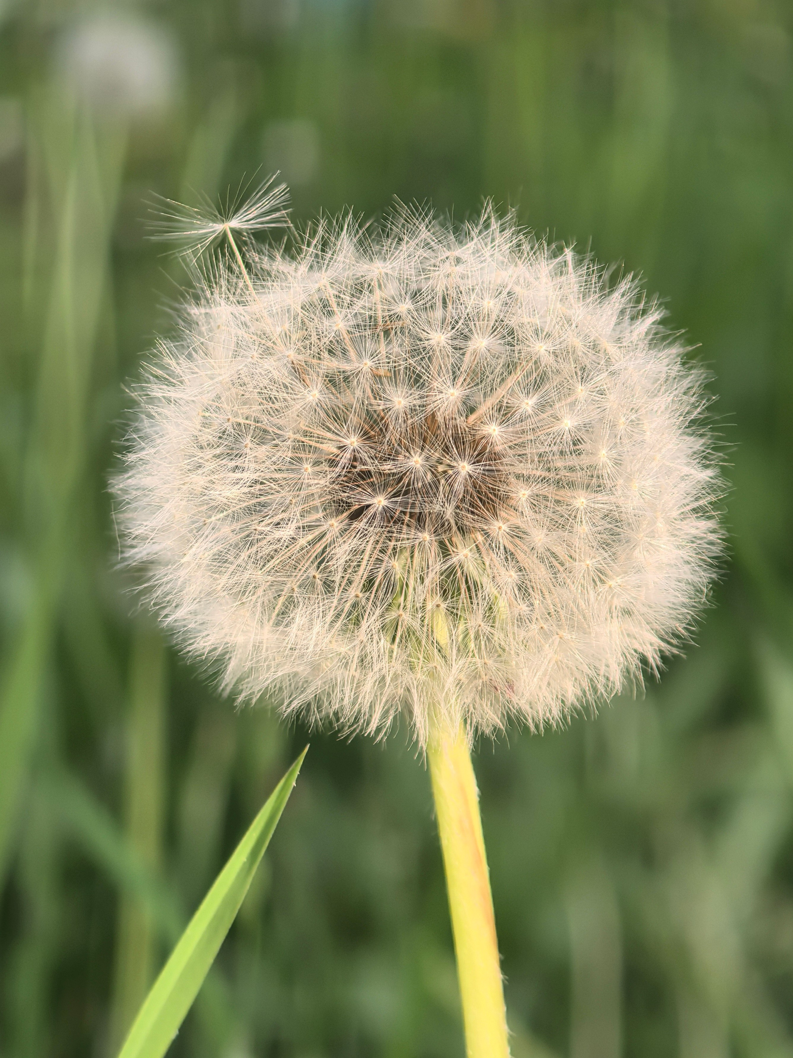 ПочтиМАКРО. Школьные выпускные альбомы в Москве Марина Николаева