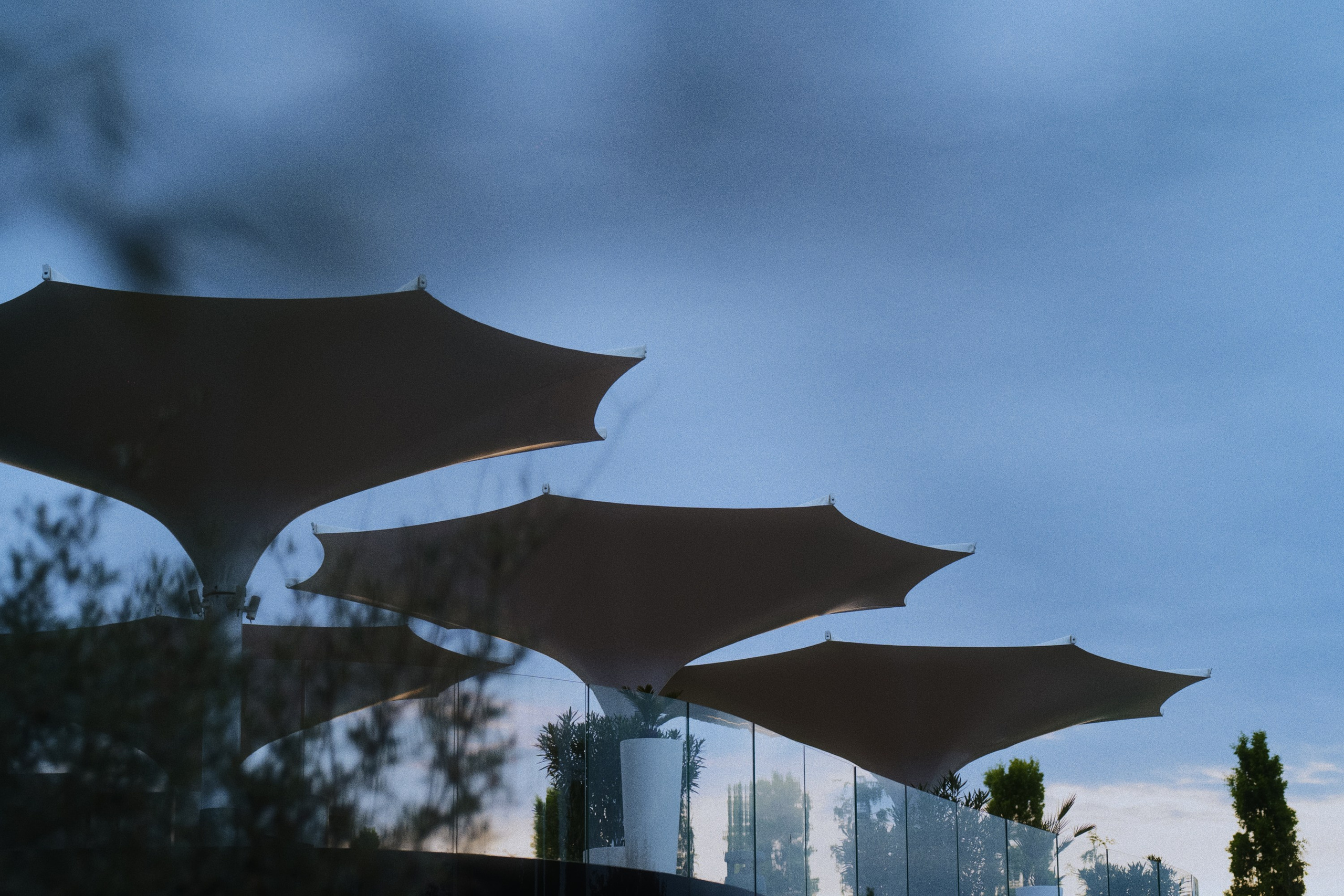 Café krasnodar. Фотограф Юрин Евгений