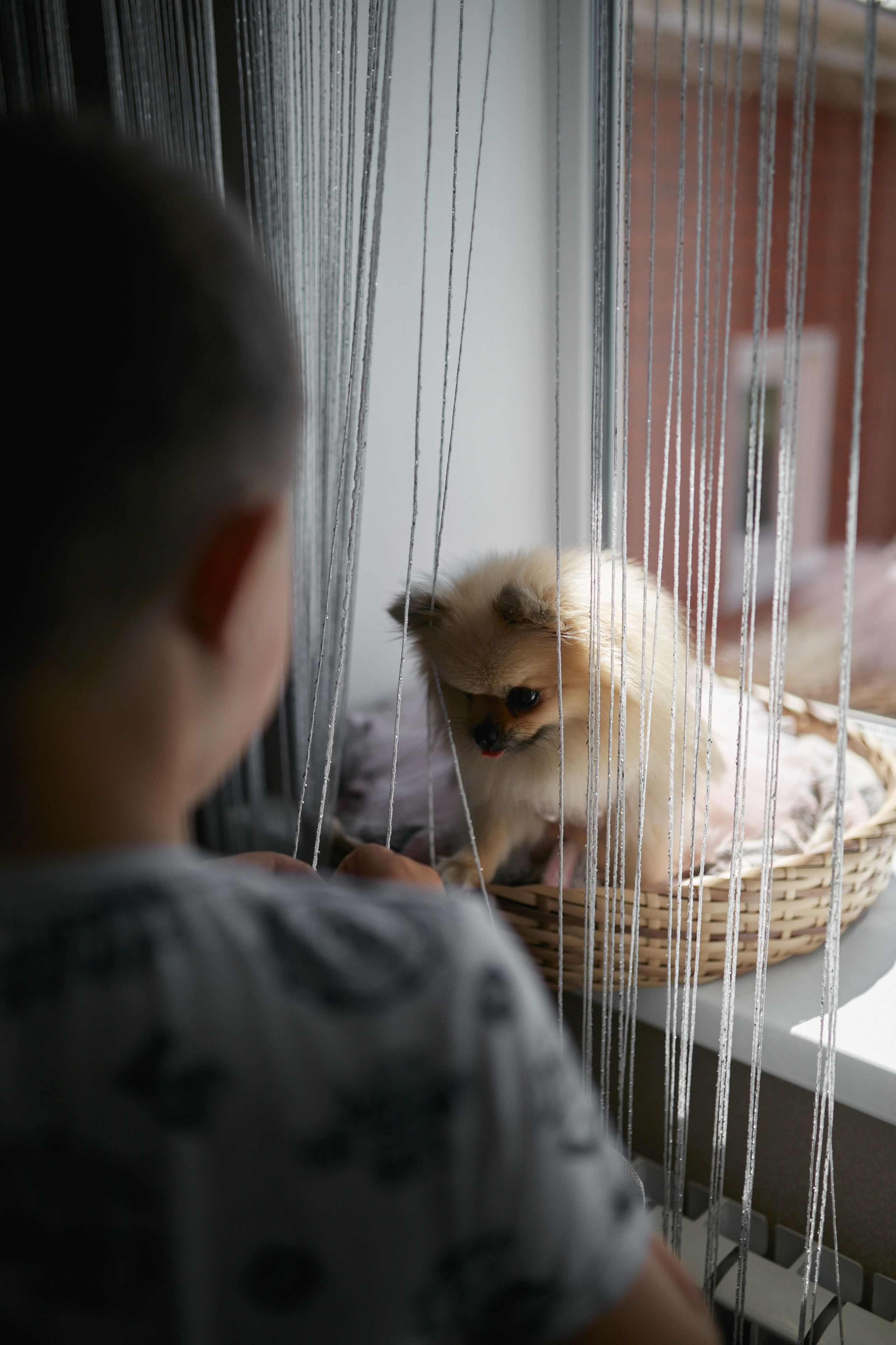 Карина и Рома. 25.07.2025. Алина Каравайцева. Фотограф в городе Барнаул