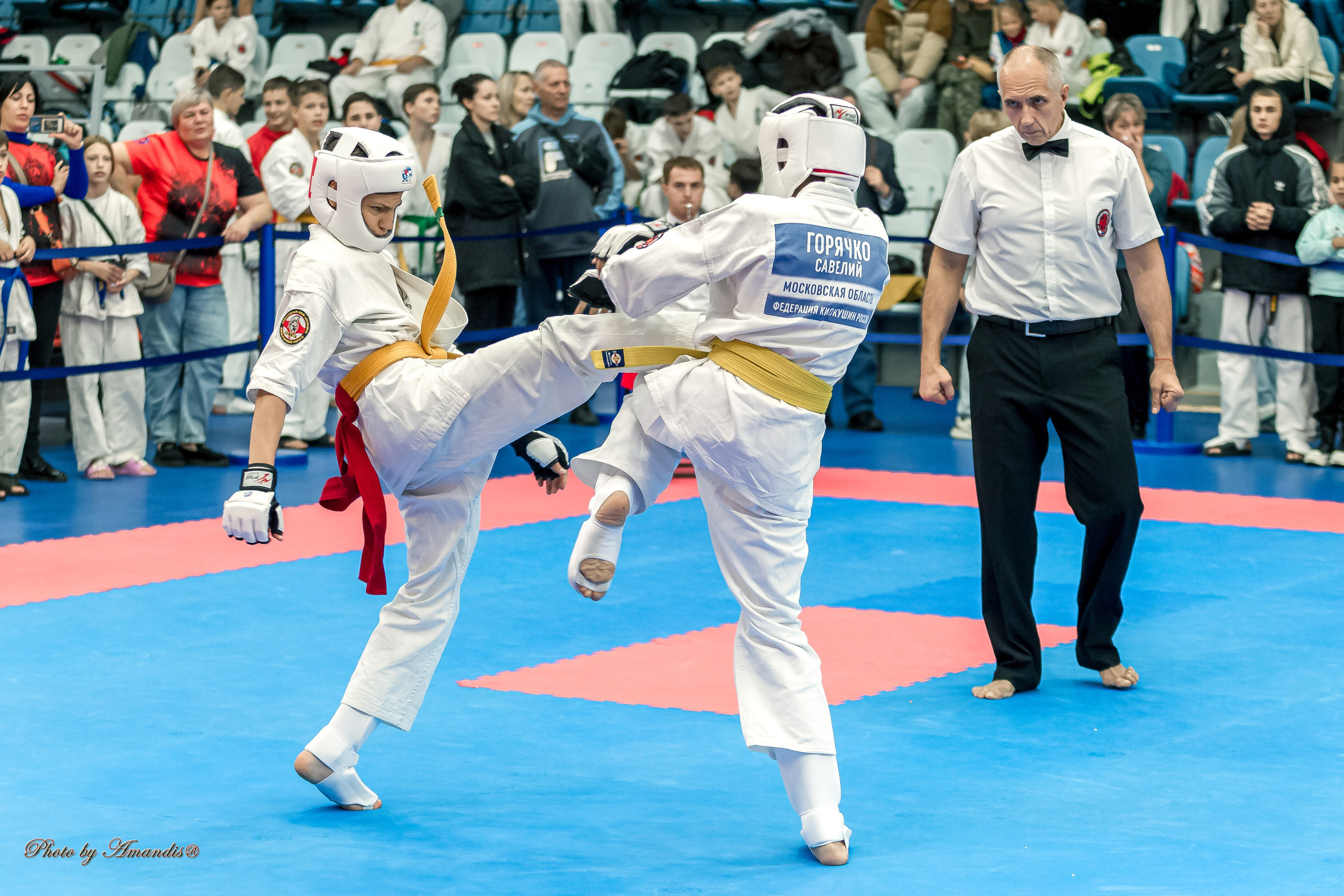 Чемпионат по Киокушинкай Центрального Федерального округа. Репортажная съемка в Москве и области. Анималистика
