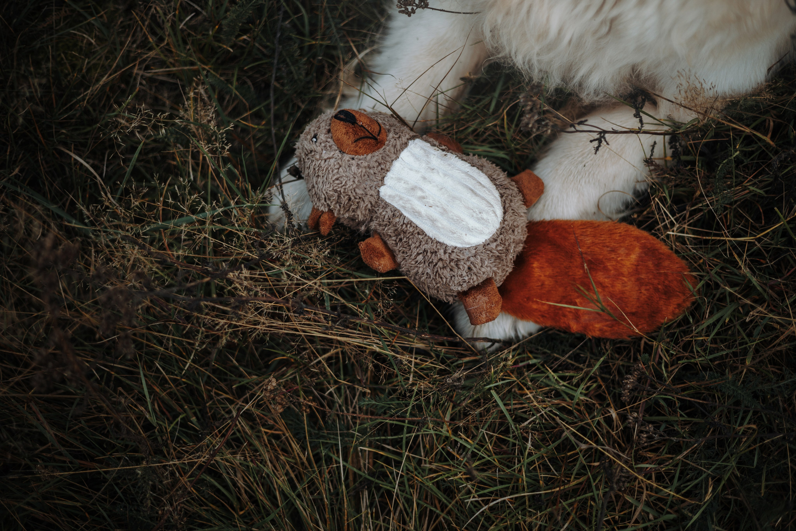 Света и Том. Фотограф — Анималист | Санкт-Петербург