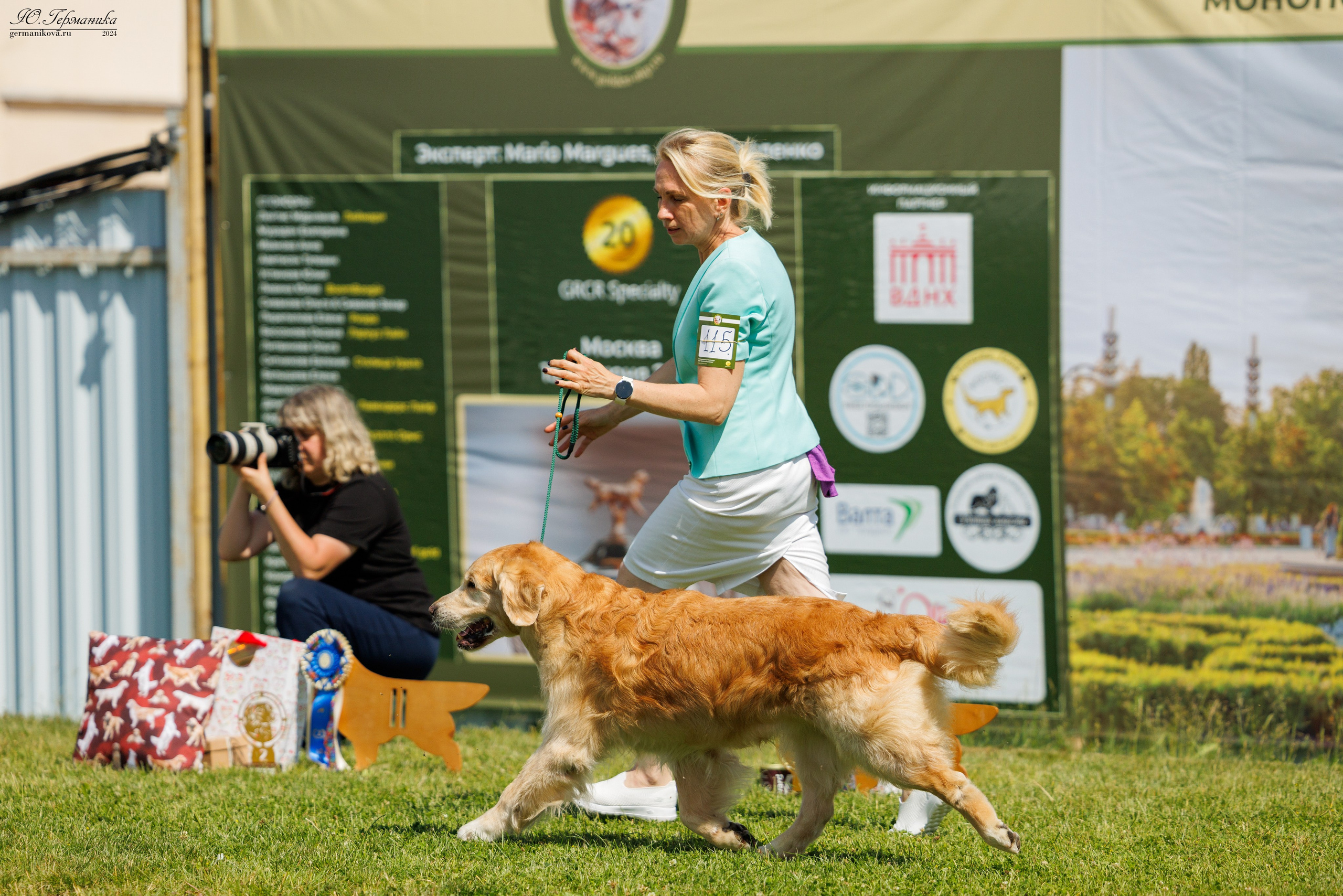 Голдены 15-16.06.2024. Фотограф-анималист Юлия Германика