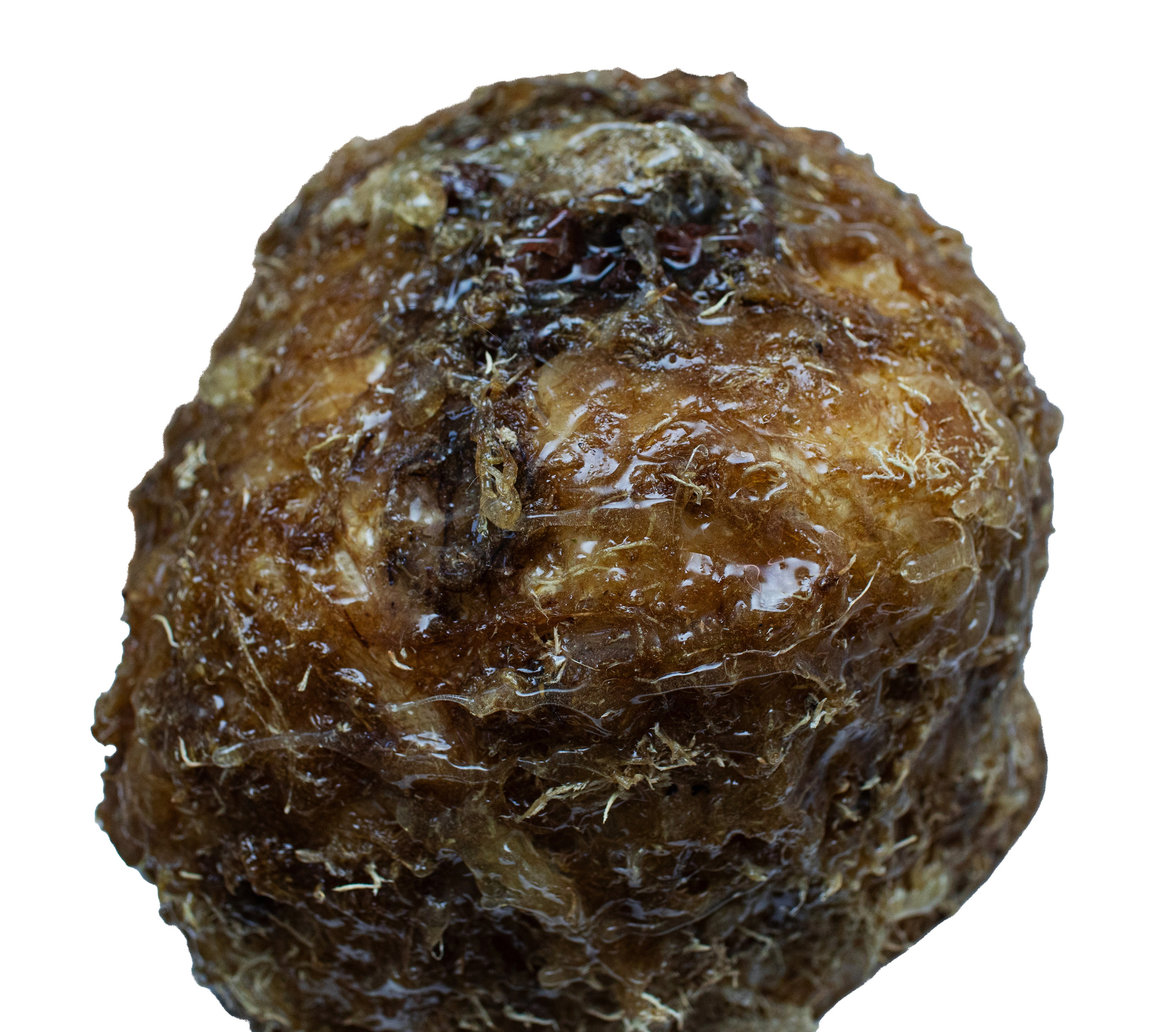 Проект «Тело помнит всё: исследование архетипов телесной памяти». СОВРЕМЕННЫЙ ХУДОЖНИК ОЛЬГА АНДРИЯШ