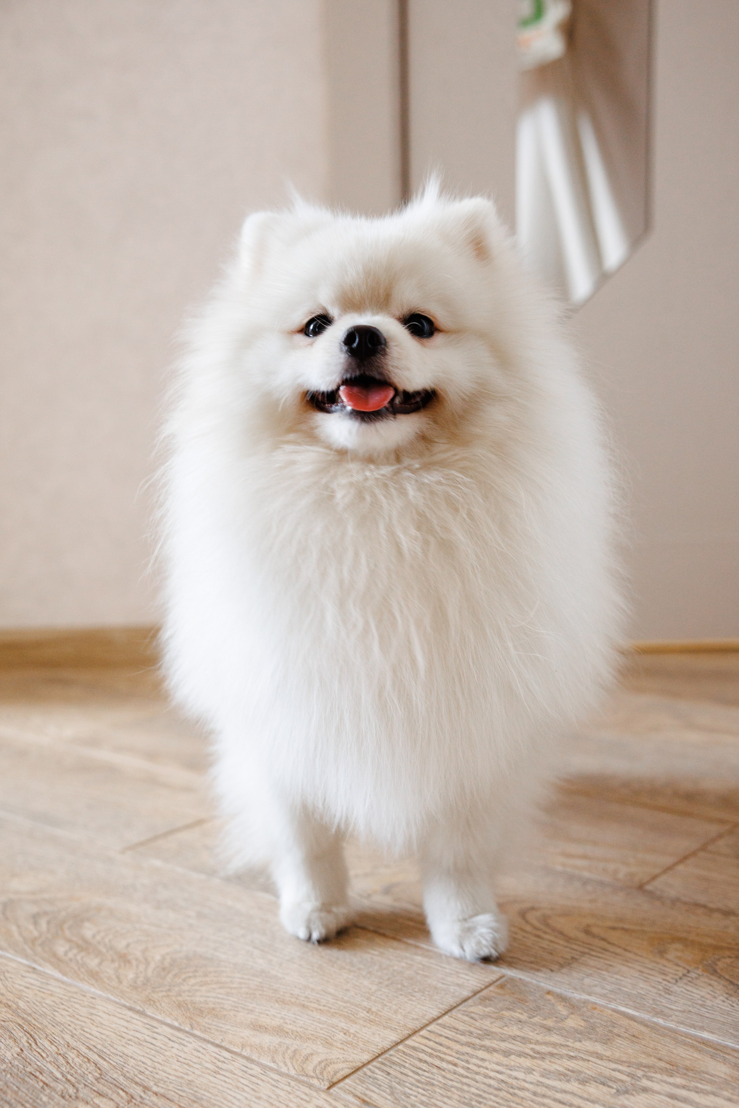 Денис и Диана. Фотограф Ставрополь Петр Голубенко