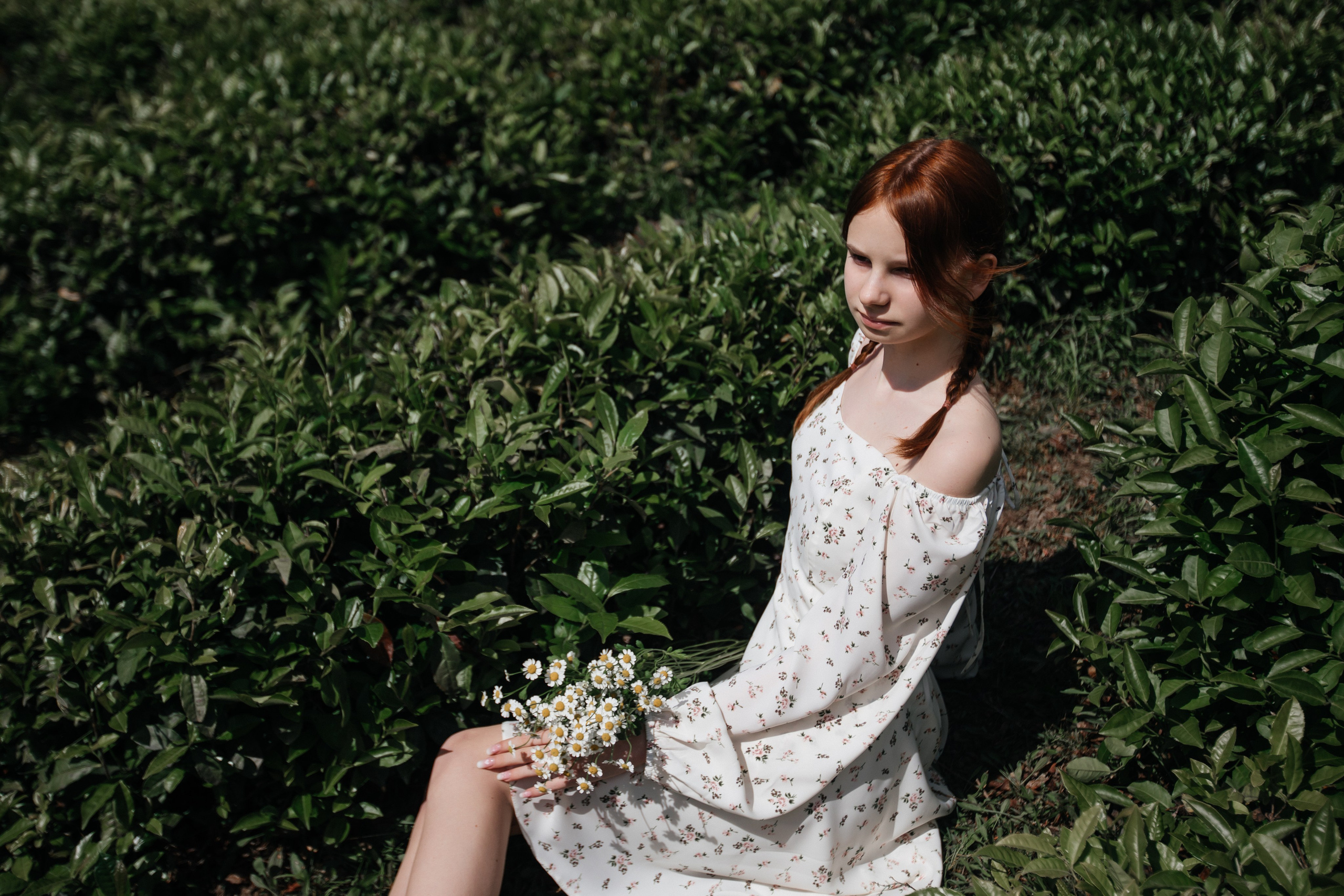 Tea plantation. Efimova Model Agency