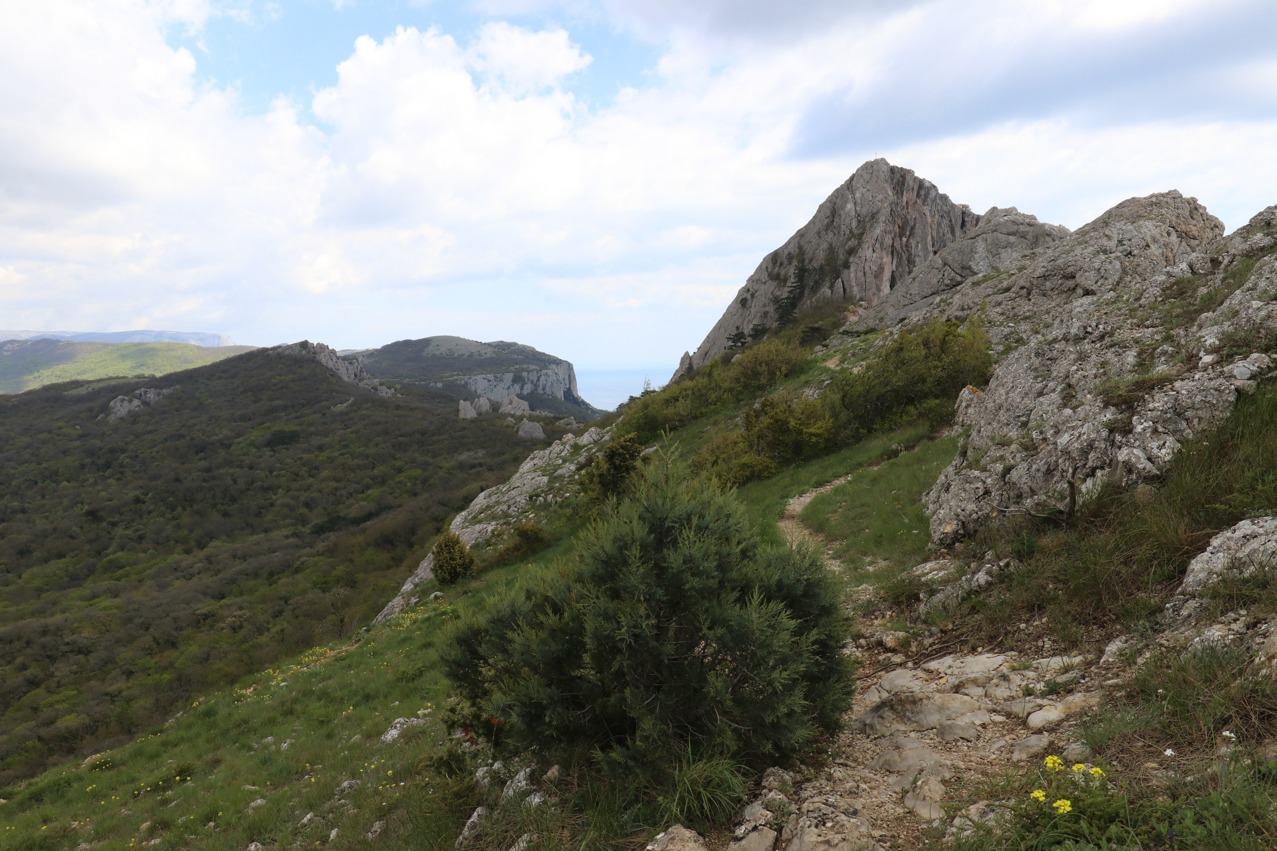 Крым. ЮБК (Севастополь, Кастрополь, Ялта). Май 2023. Путешественник-фотограф из Санкт-Петербурга Татьяна Свистулина