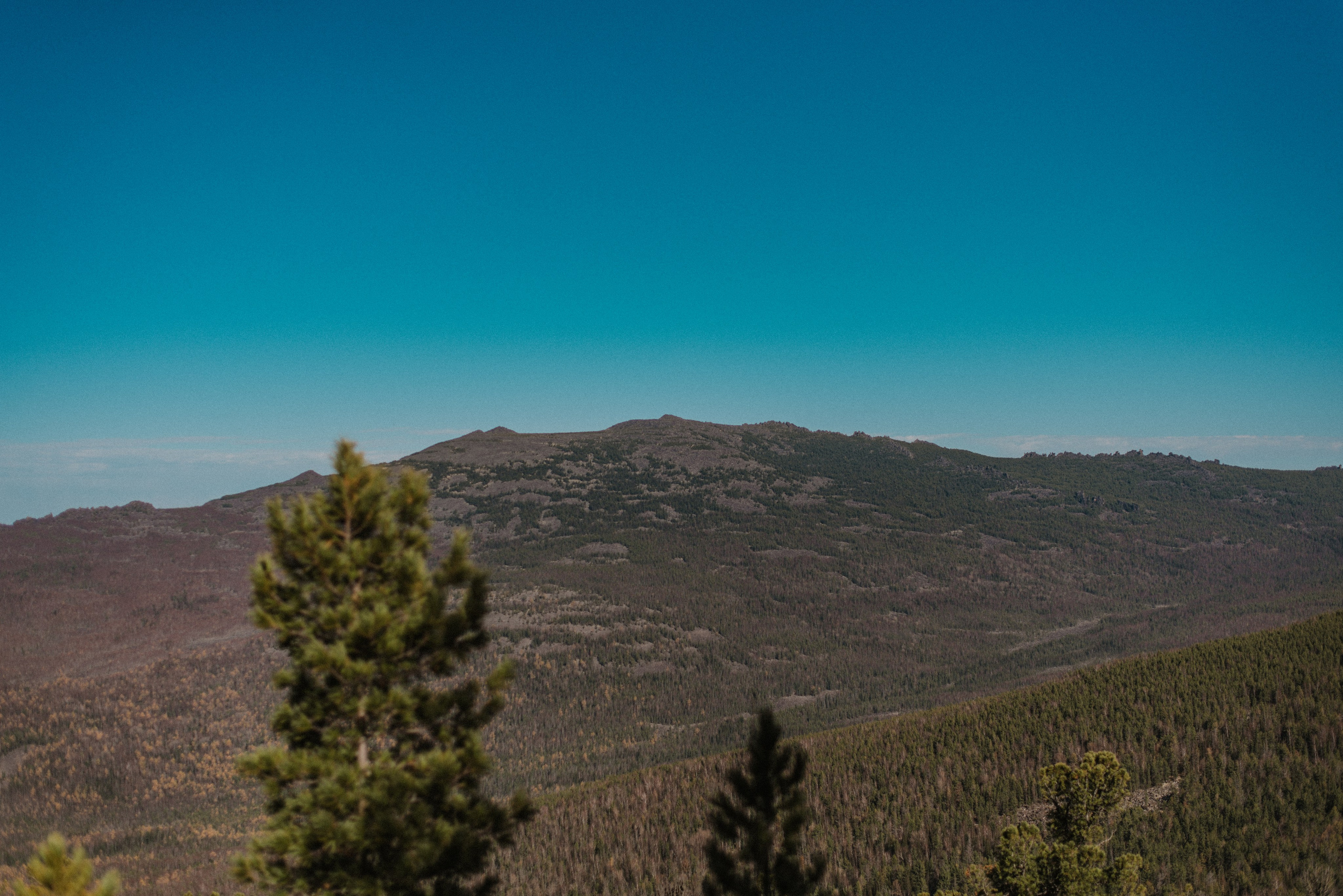 Кутурчины. Свадебный и семейный фотограф в Красноярске Наталья Дроздова