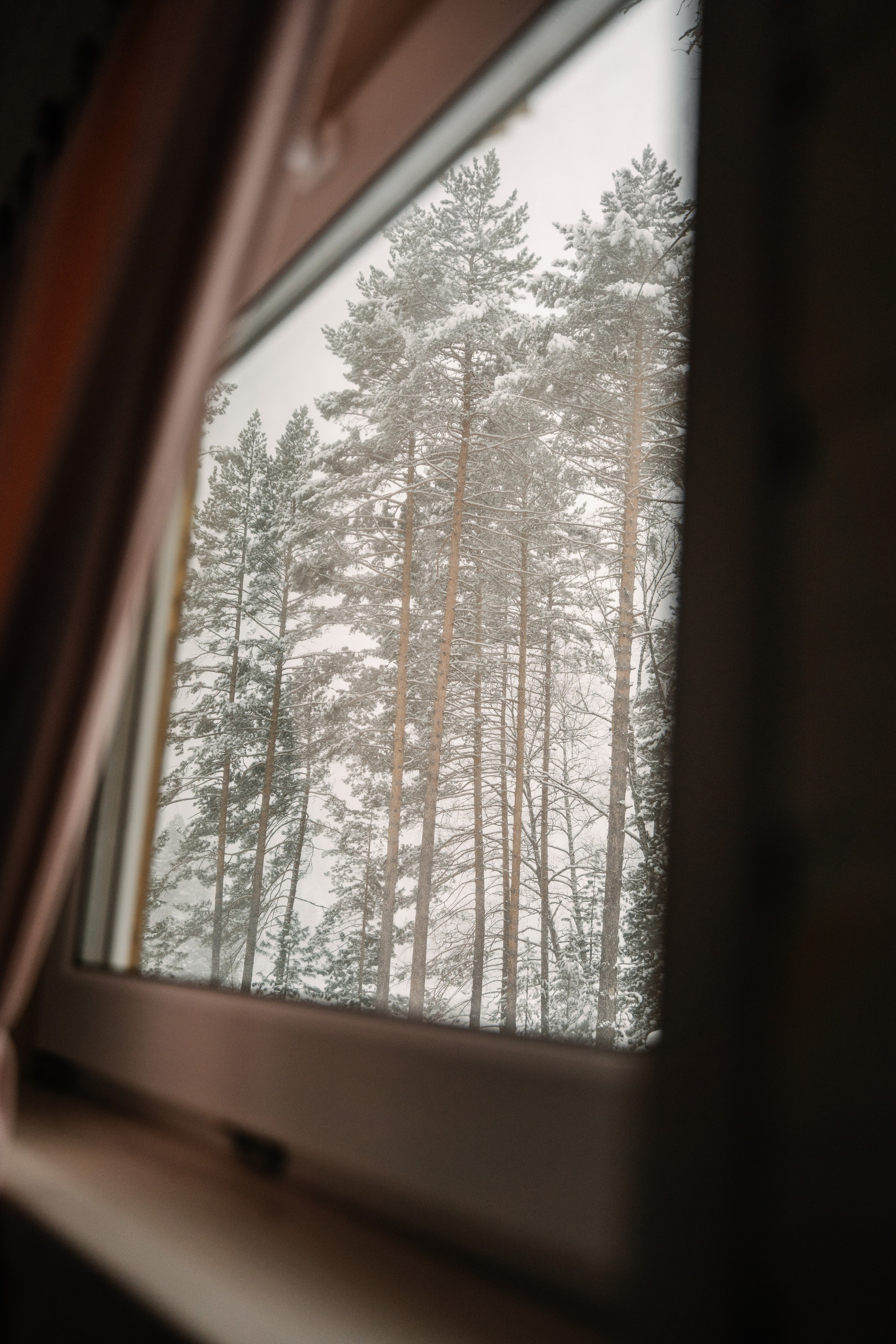 Релекс ТЕЛЕЦКОЕ. Фотограф Ольга Пучкова