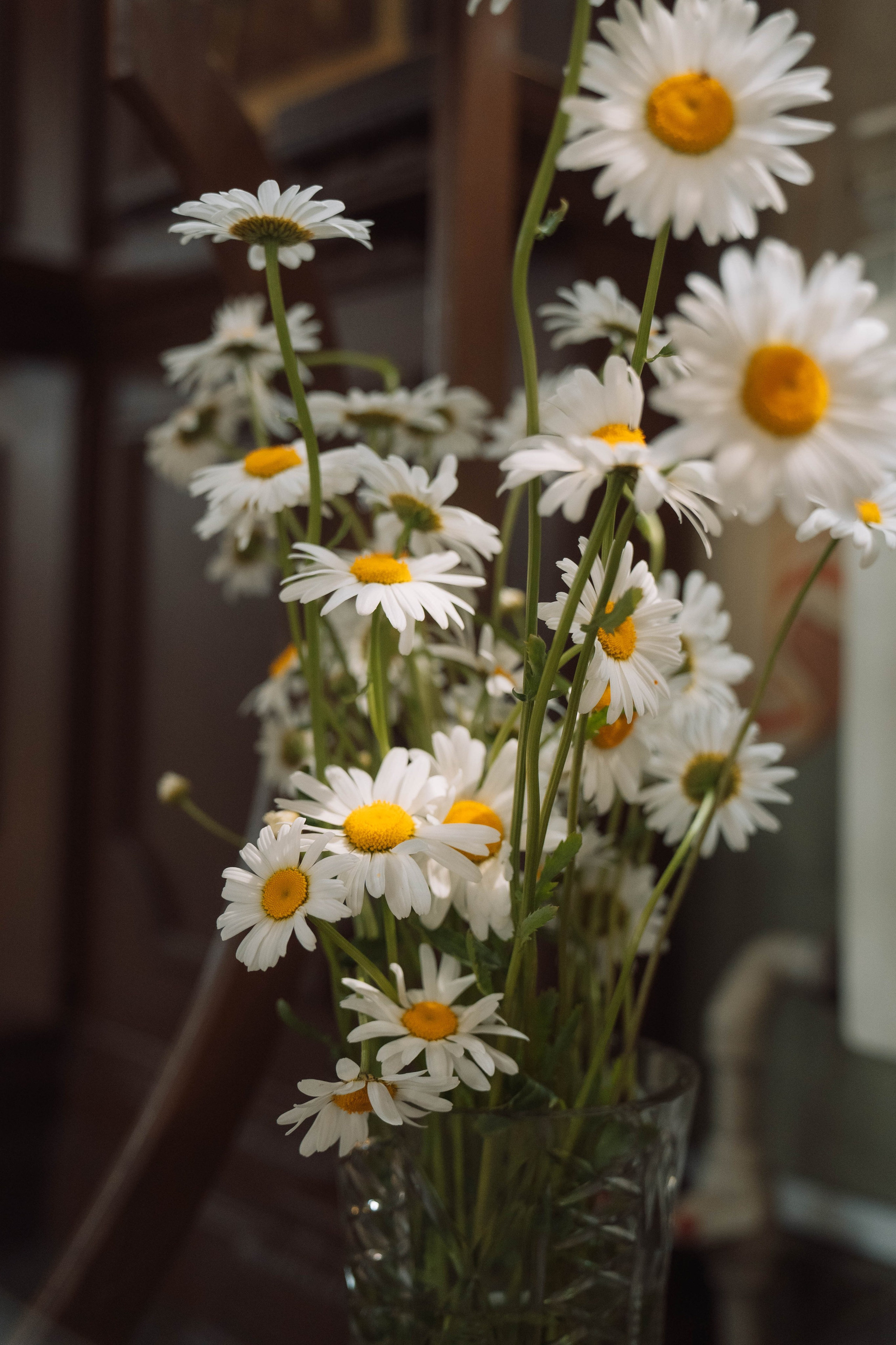 Церковные репортажные съемки. Фотограф в Нижнем Новгороде,
