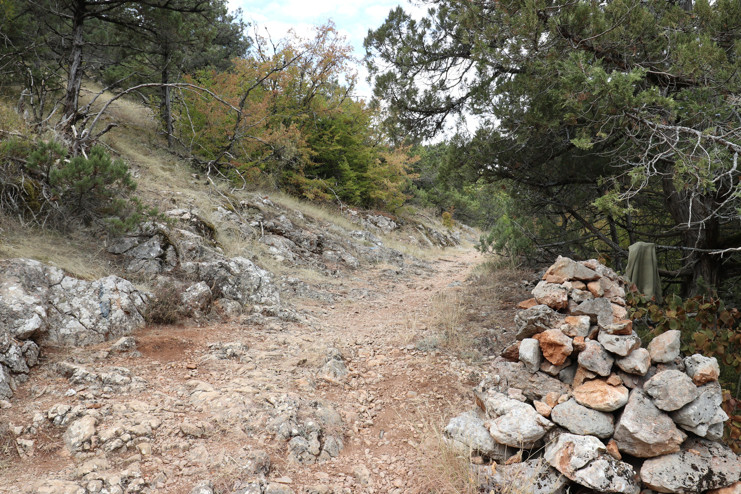 Крым. ЮБК (Фиолент, Ай-Петри, Роман-Кош). Знакомство. Октябрь 2017. Путешественник-фотограф из Санкт-Петербурга Татьяна Свистулина