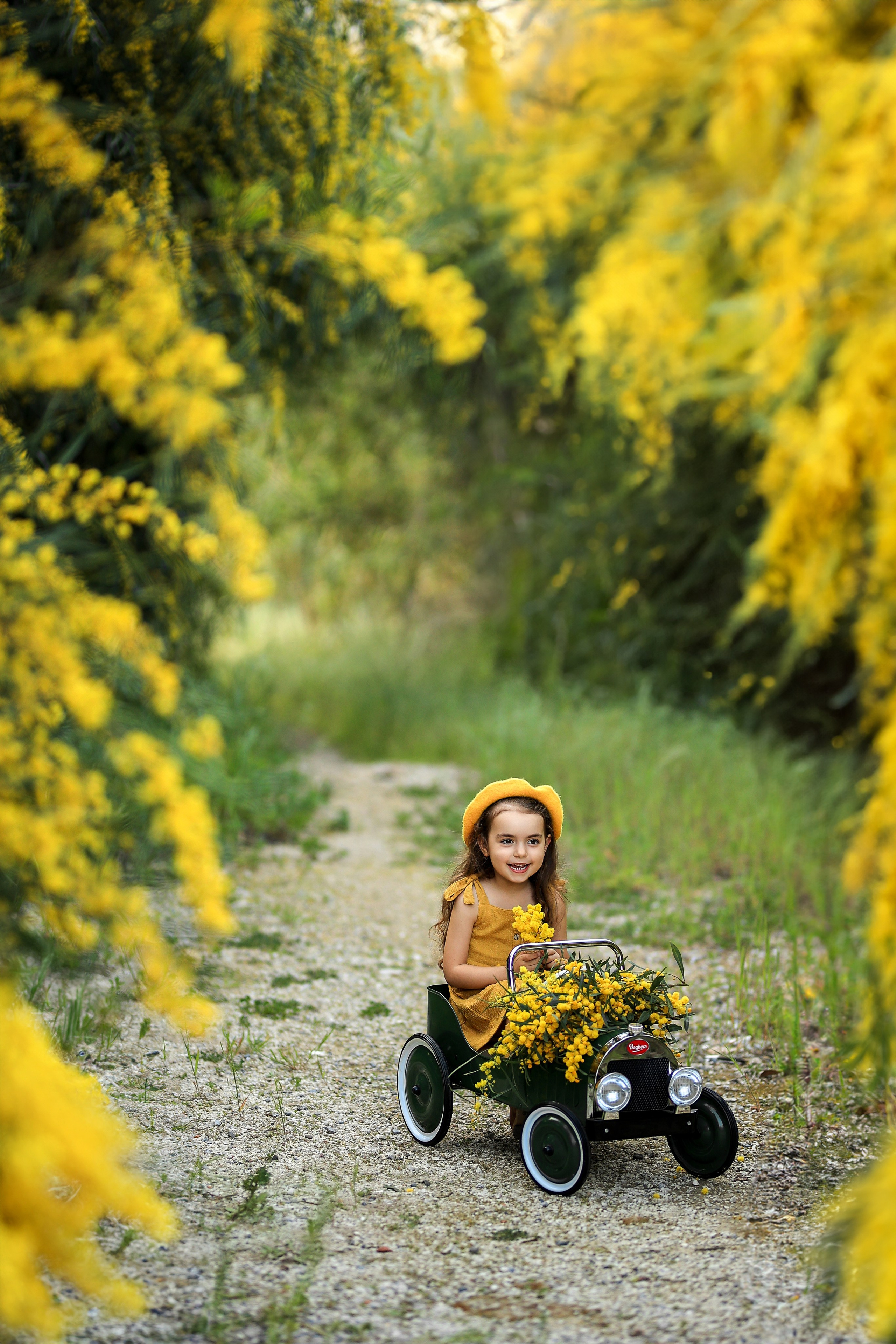 Photoshooting in mimosa