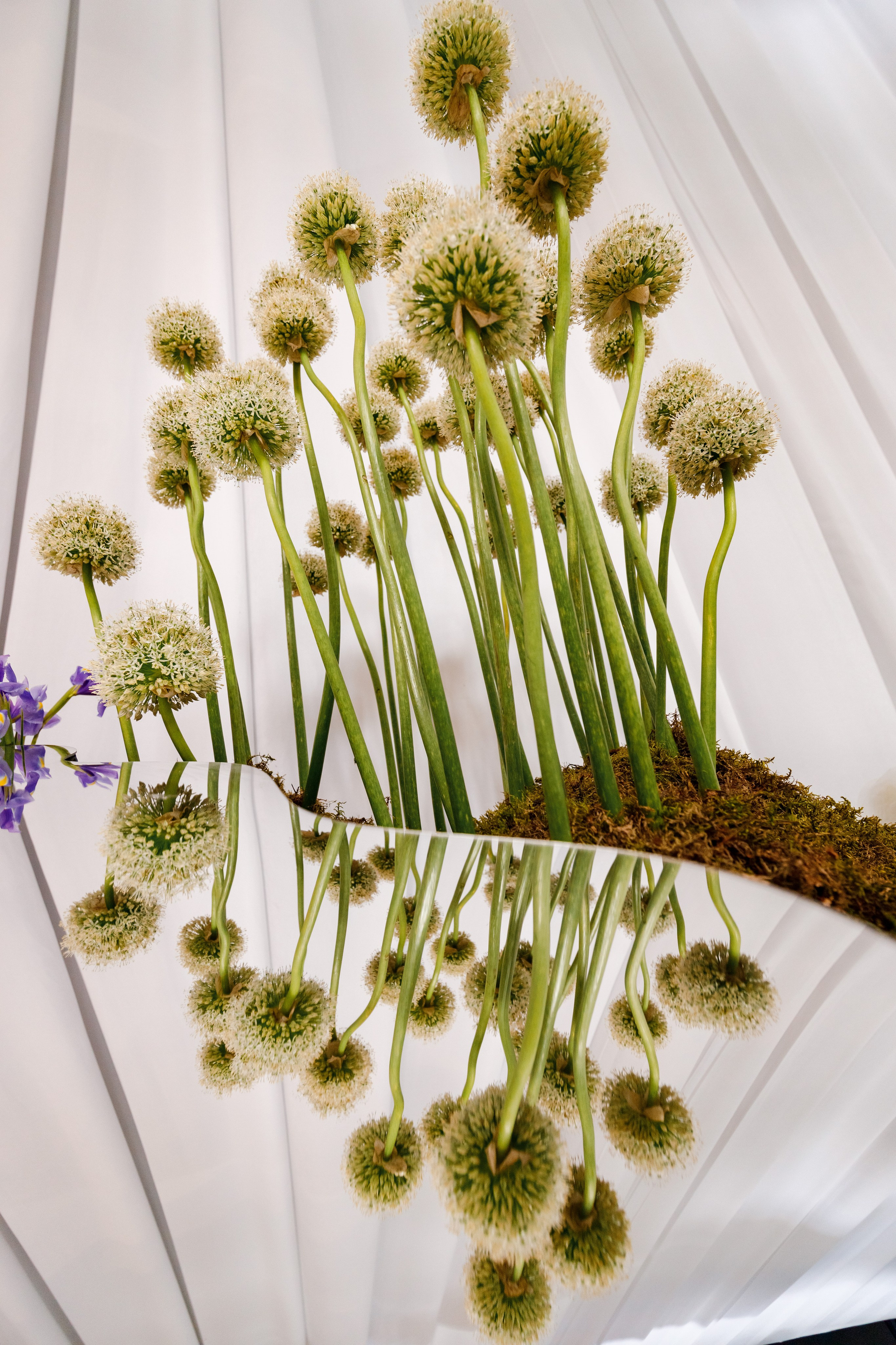 BLV Decor. Фотограф Сергей Склемин