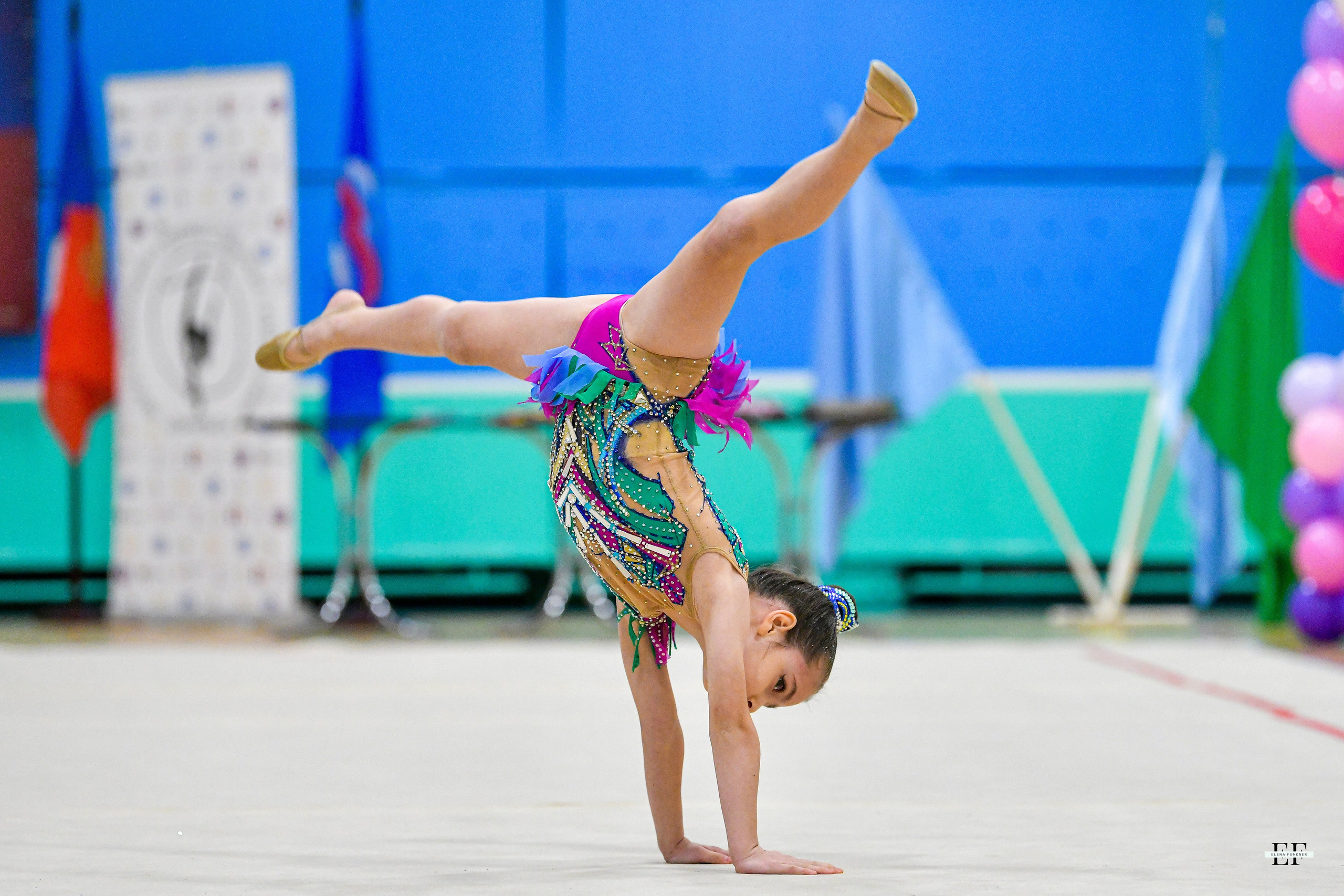 Фестиваль гимнастики «Северная грация» 02.11.2024. Свой взгляд через объектив
