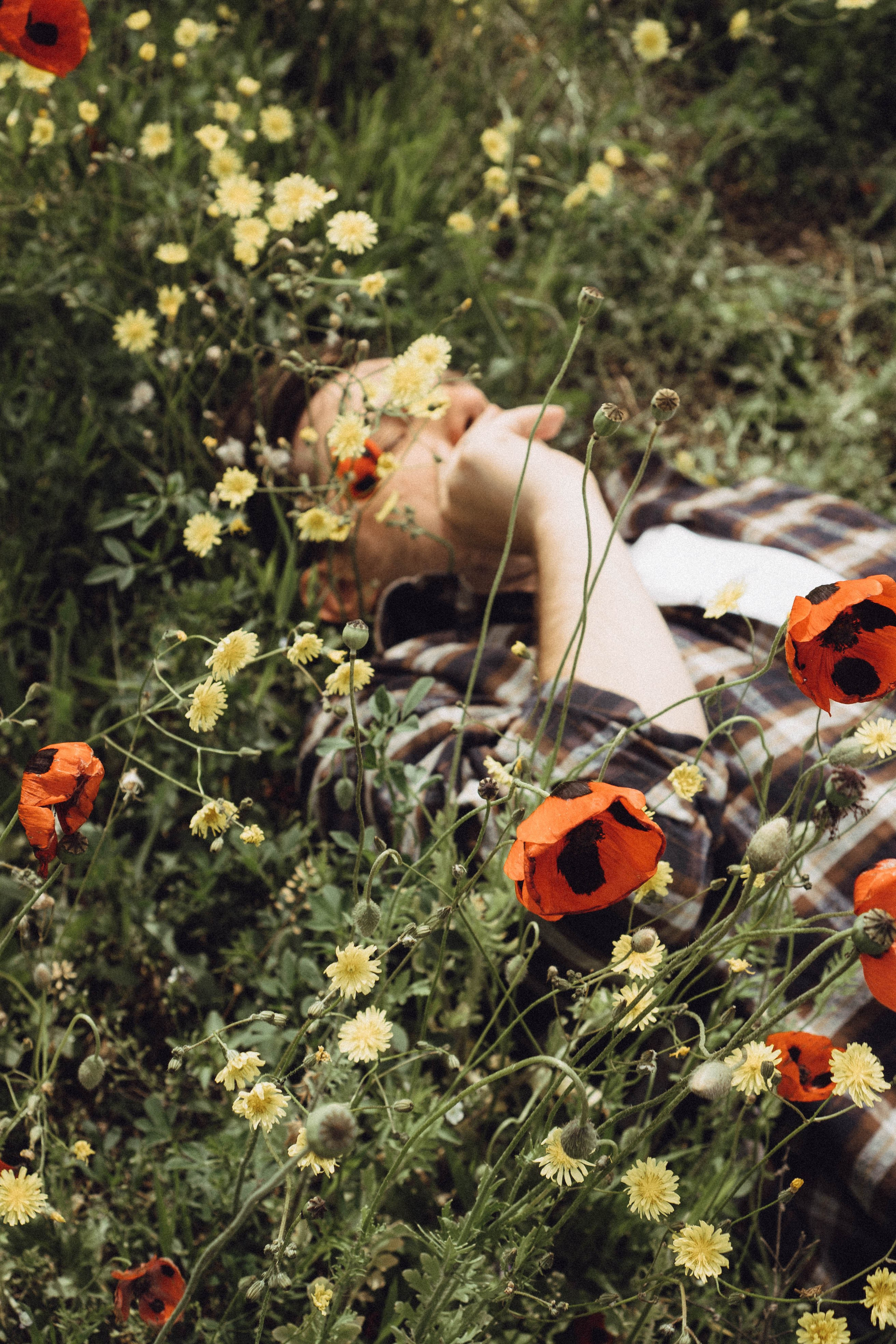 Маки. Профессиональный фотограф, Санкт-Петербург — Виктория Богомолова
