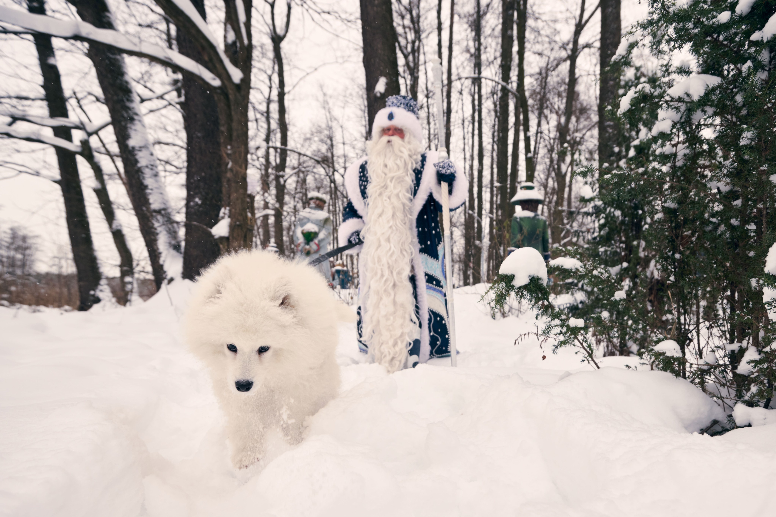 Дед Мороз с Платоном. Никита Хохловский фото и видео продакшн