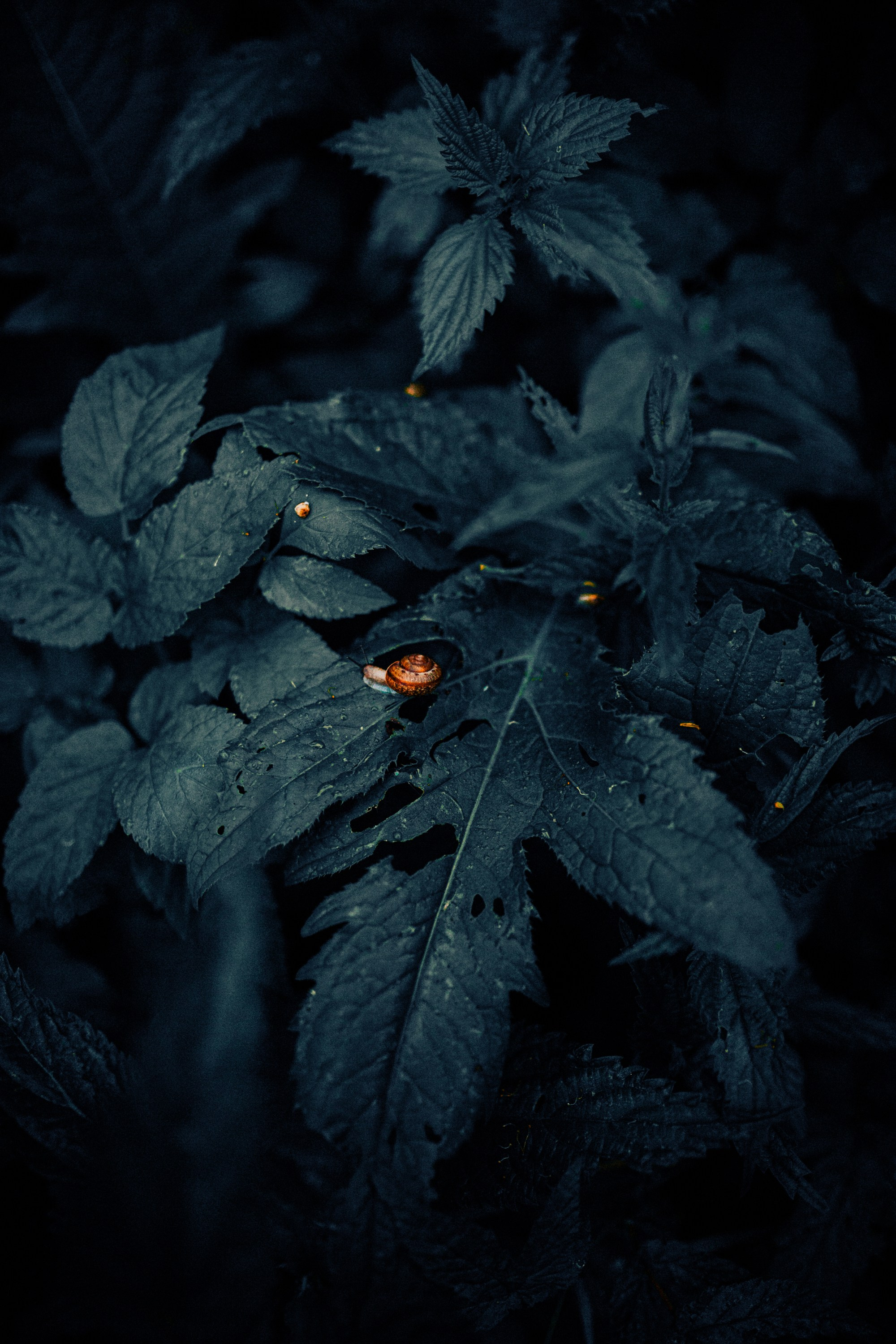 Марго. Фотограф Оля Батист