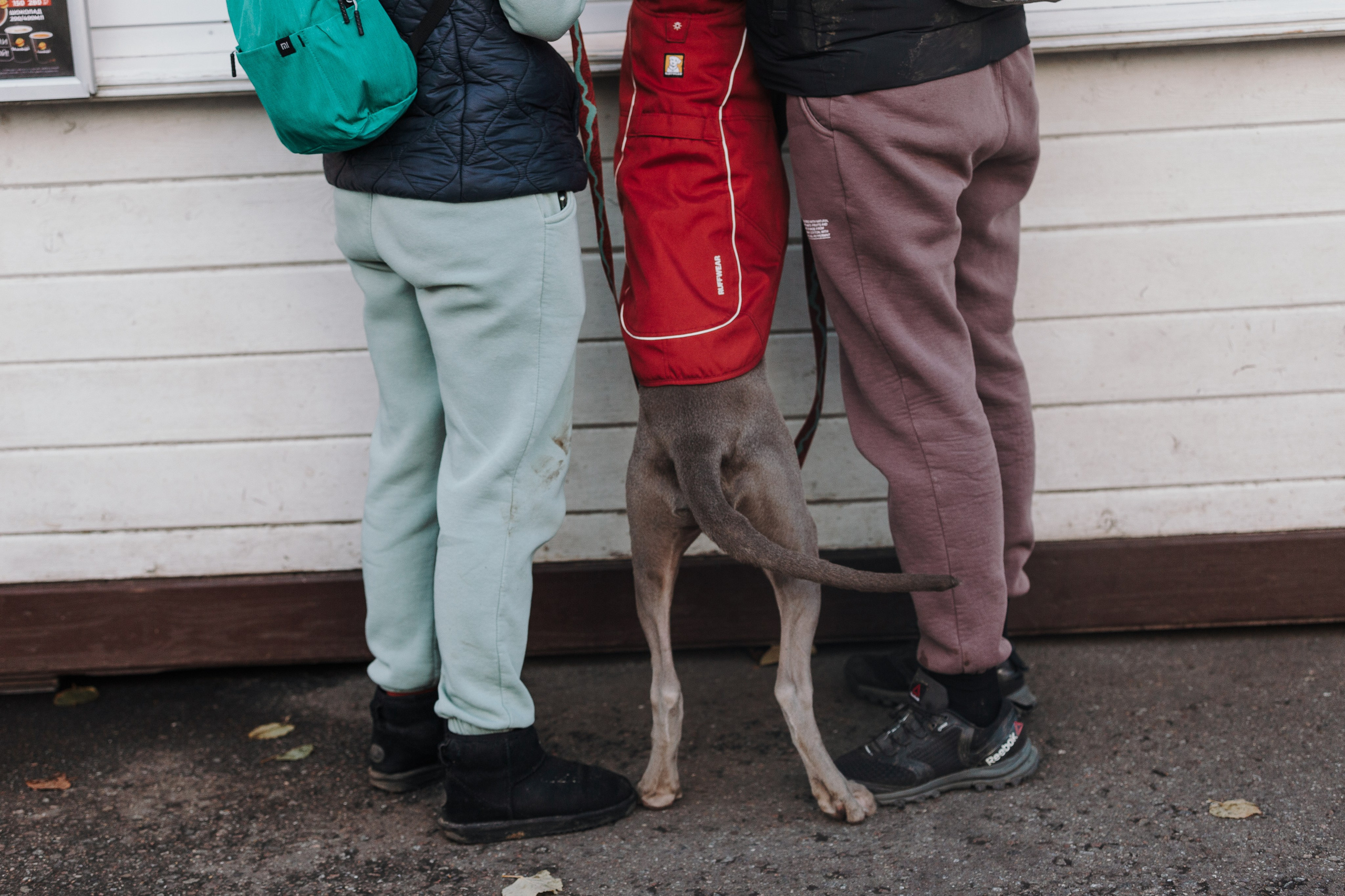 Оля, Саша и Бастиан. Фотограф анималист Кристина Карпова, Москва