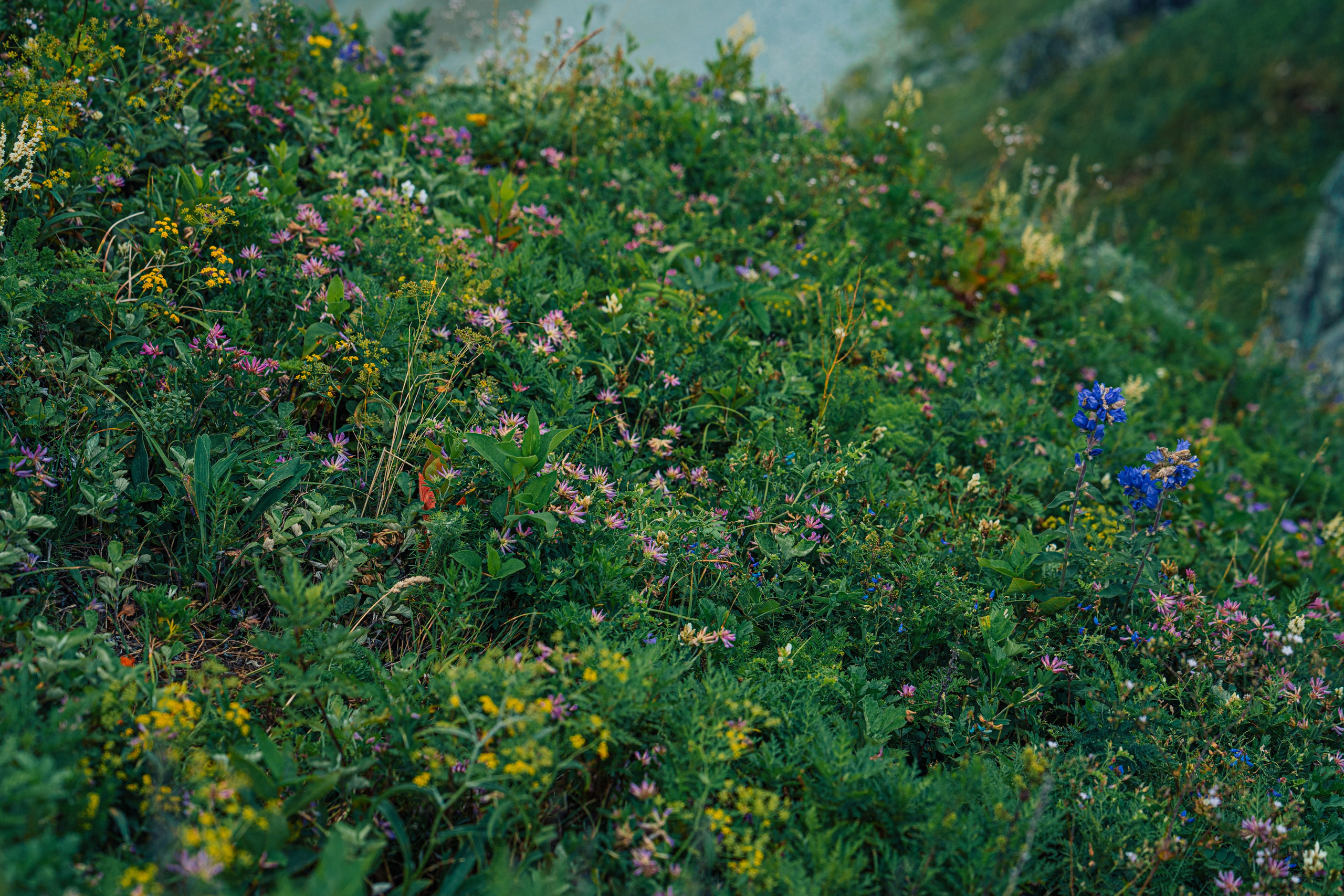 Мыс Четырех Скал. Иван Зайцев (IZIART) — создание культурного кода через фото и видео