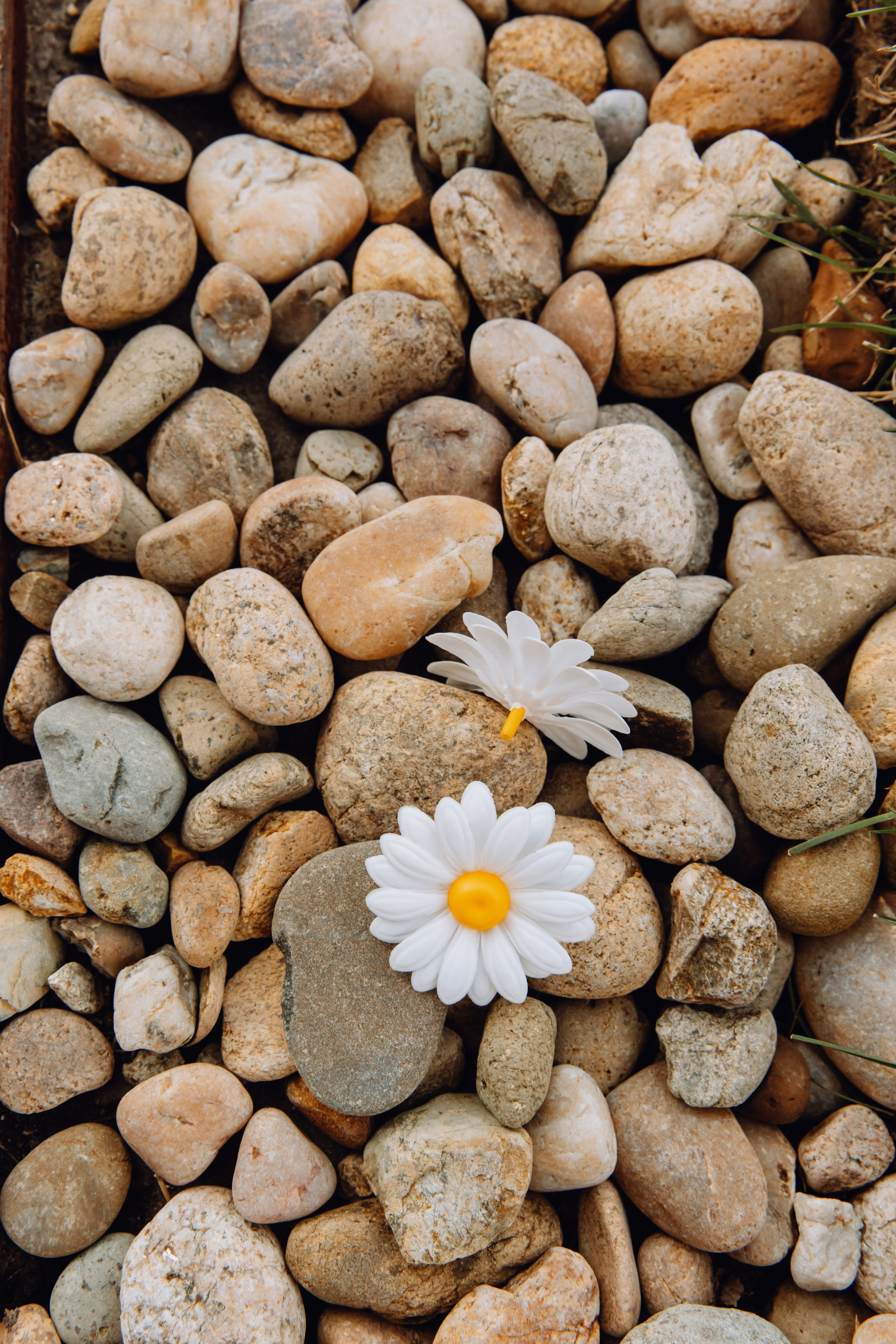 Свадебный репортаж. Фотограф Максим Никонов