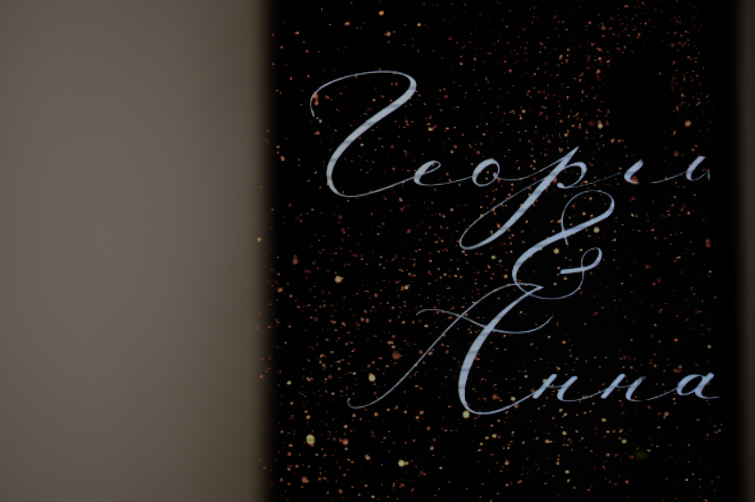 Аня и Гоша. Фотограф в Москве. Антон S